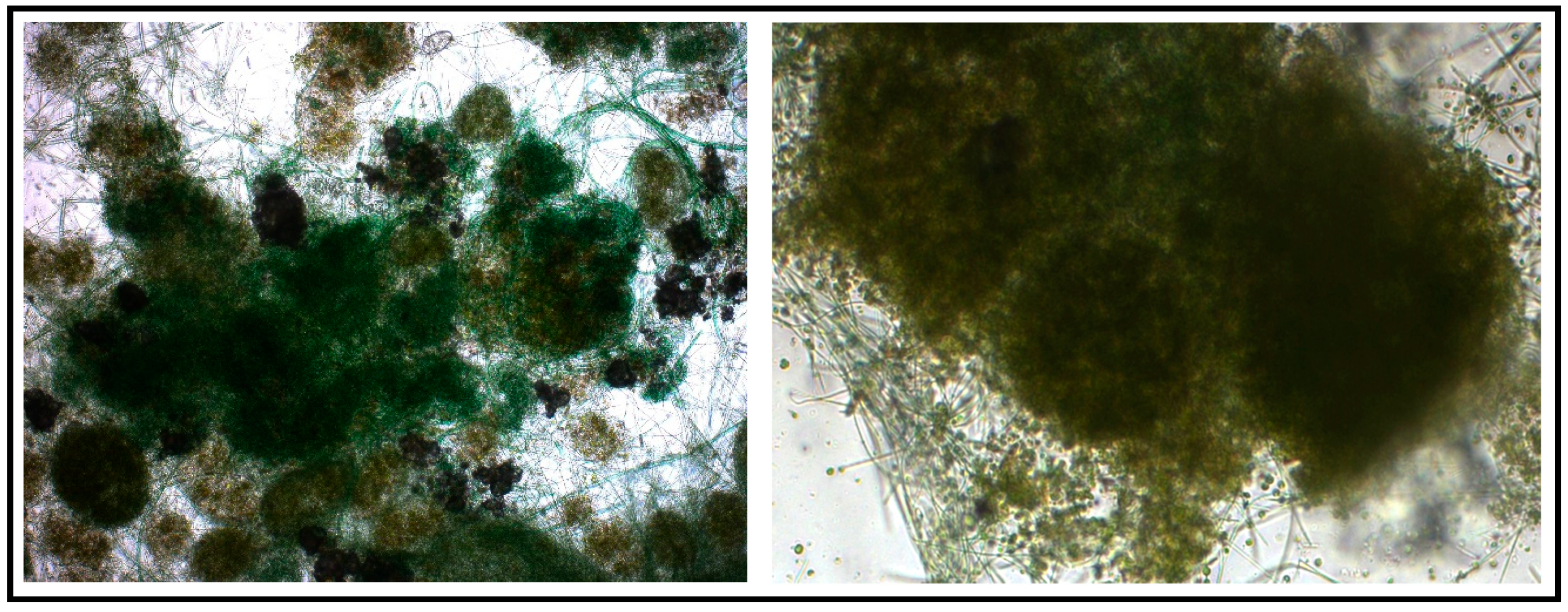 Applsci 13 01098 g011