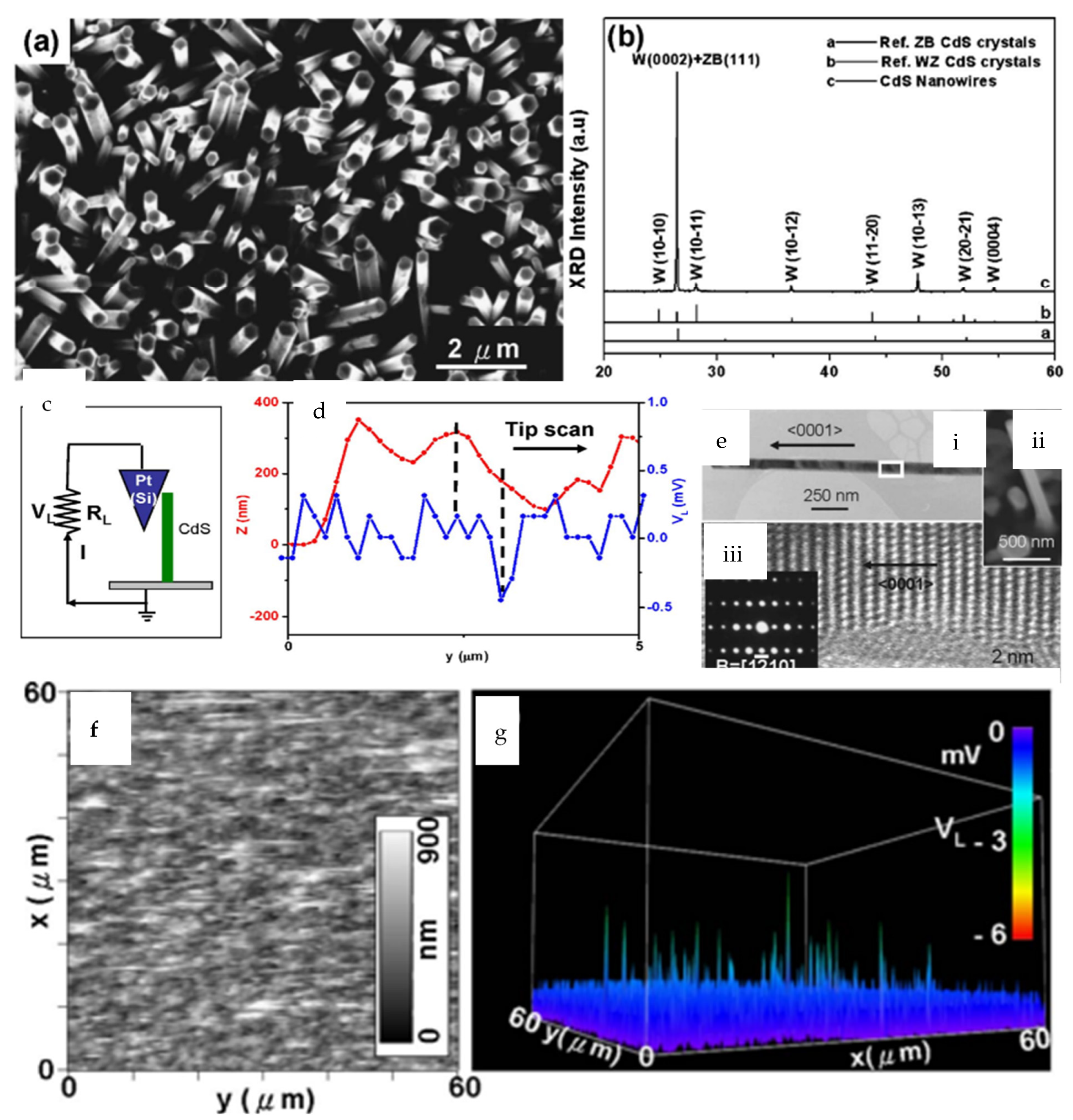 Applsci 13 01300 g006 Applsci 13 01300 g006