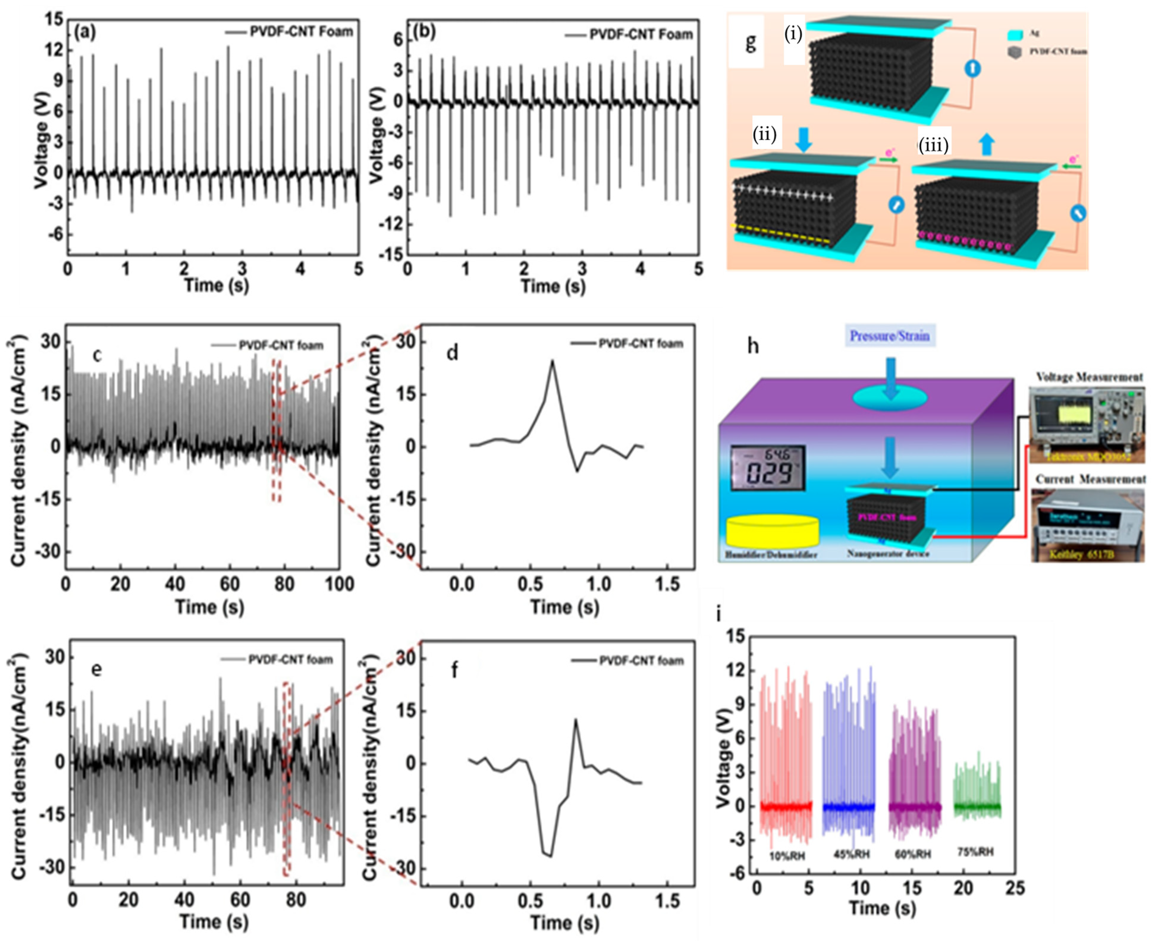 Applsci 13 01300 g012 Applsci 13 01300 g012