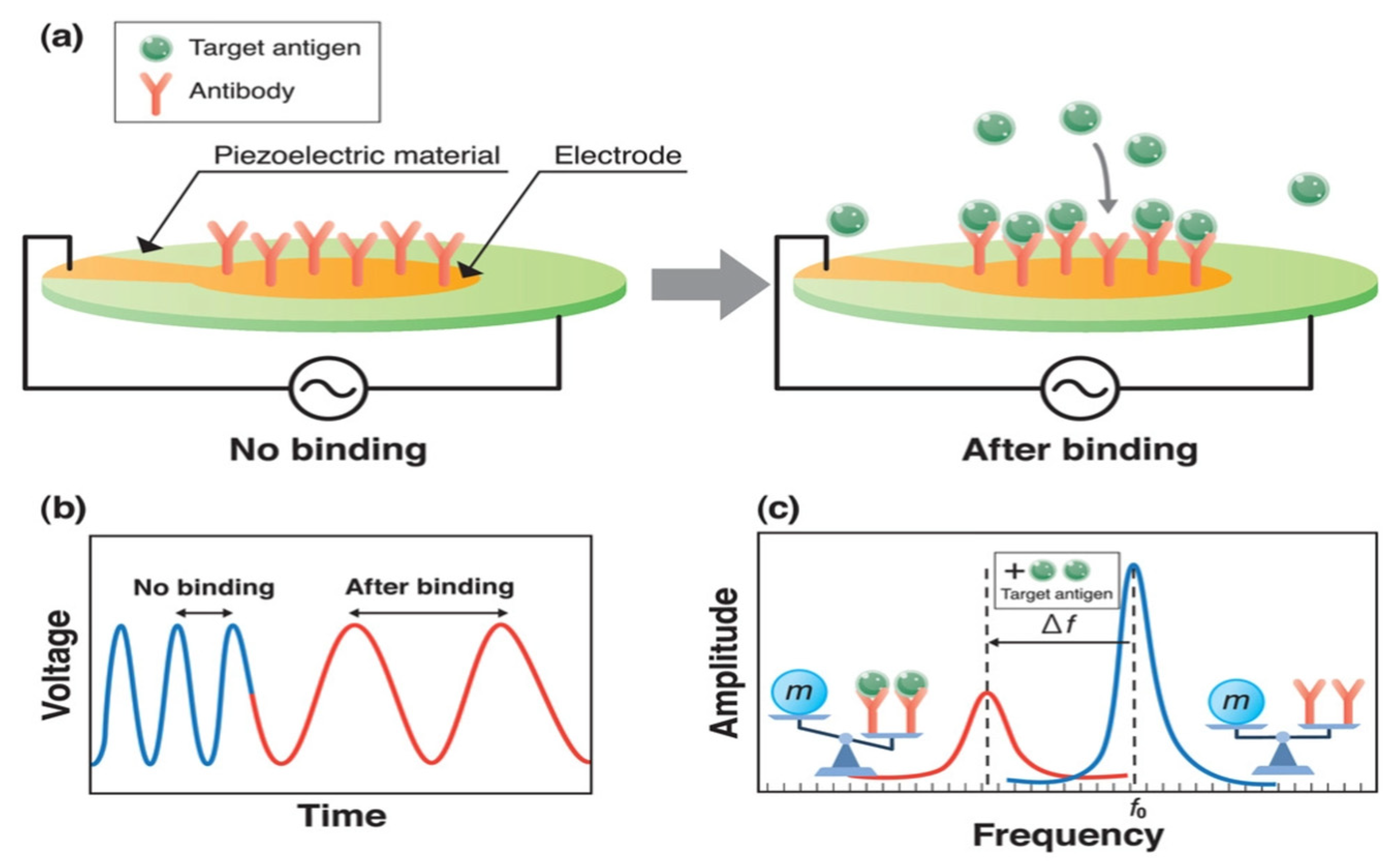 Applsci 13 01300 g028 Applsci 13 01300 g028