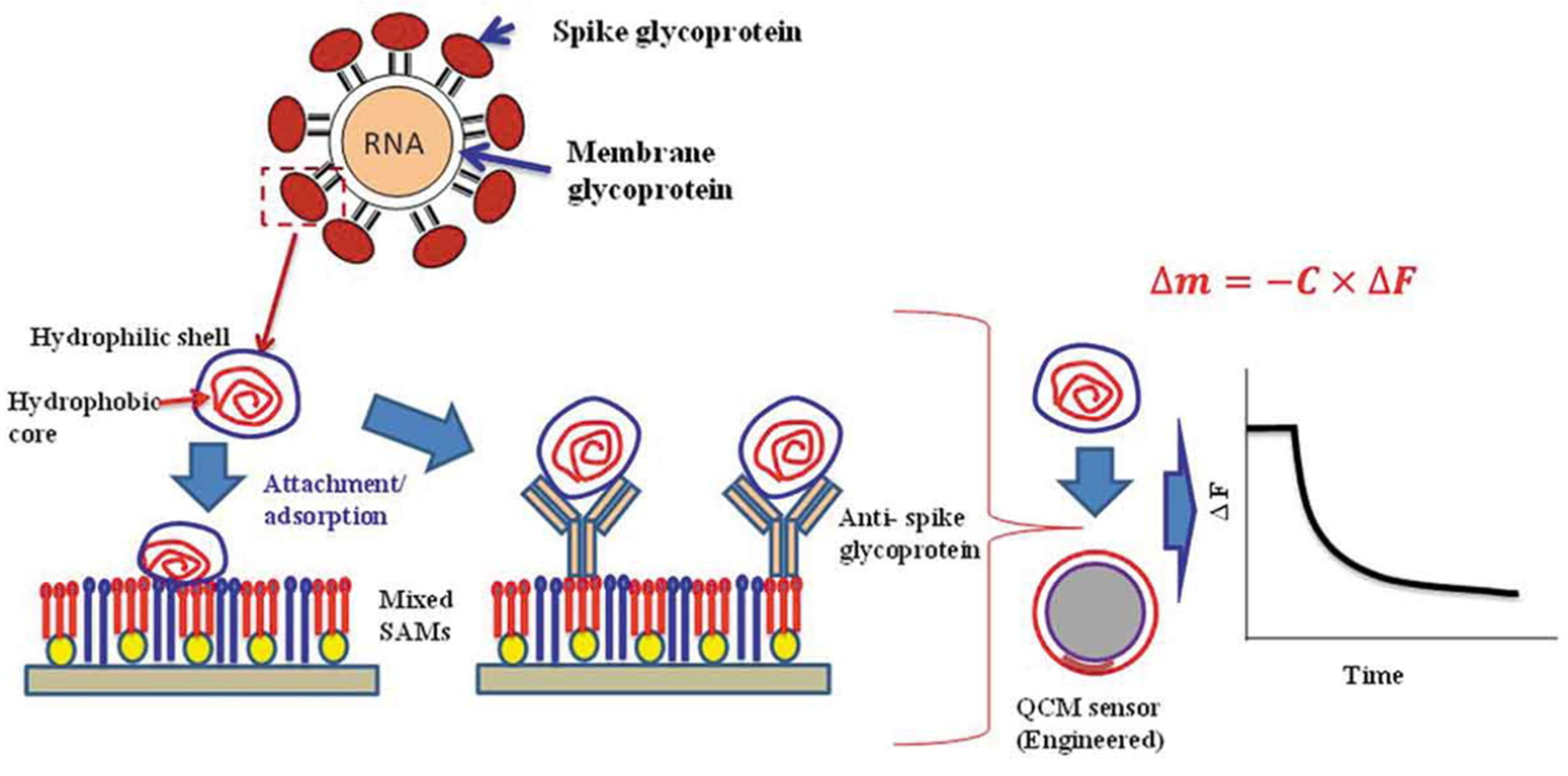 Applsci 13 01300 g031 Applsci 13 01300 g031