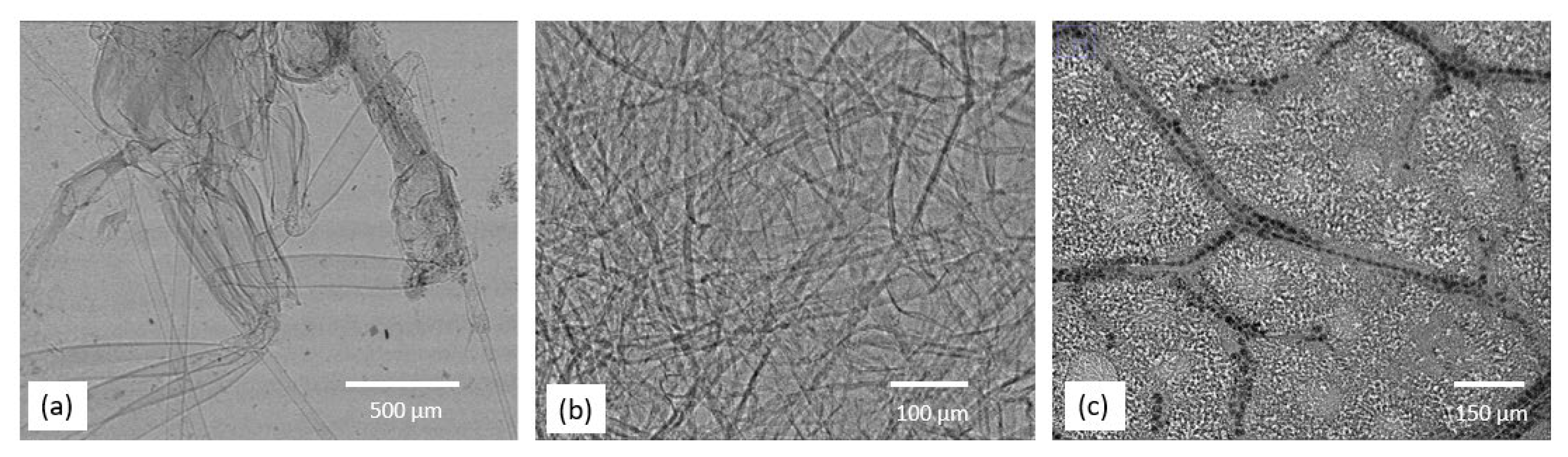 Applsci 13 01317 g007