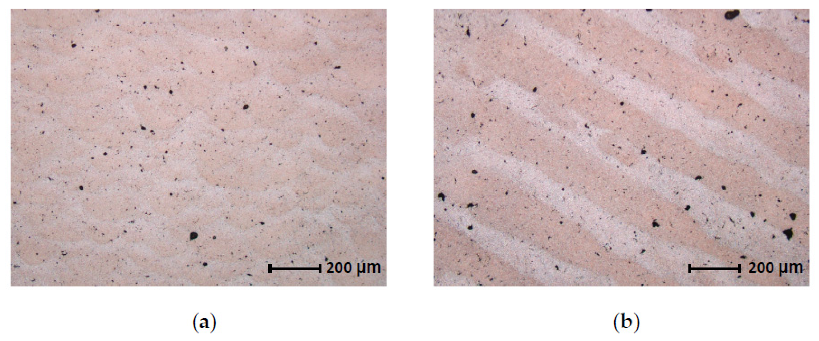 Applsci 13 01377 g012