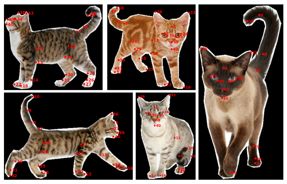 Applsci 13 01466 g002 Applsci 13 01466 g002