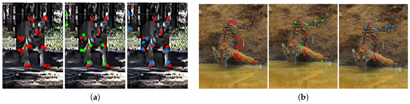 Applsci 13 01466 g008 Applsci 13 01466 g008