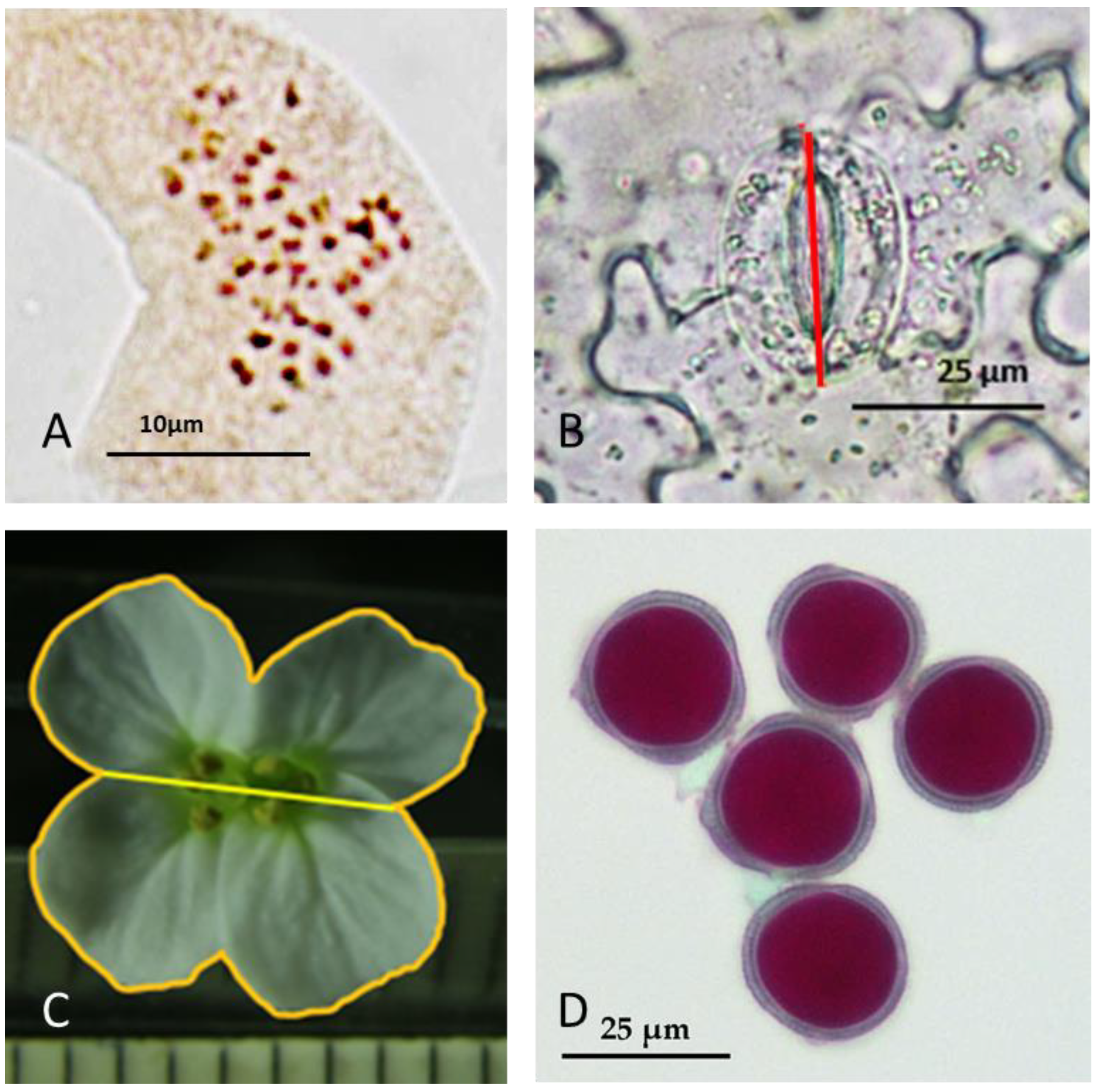 Applsci 13 01617 g004