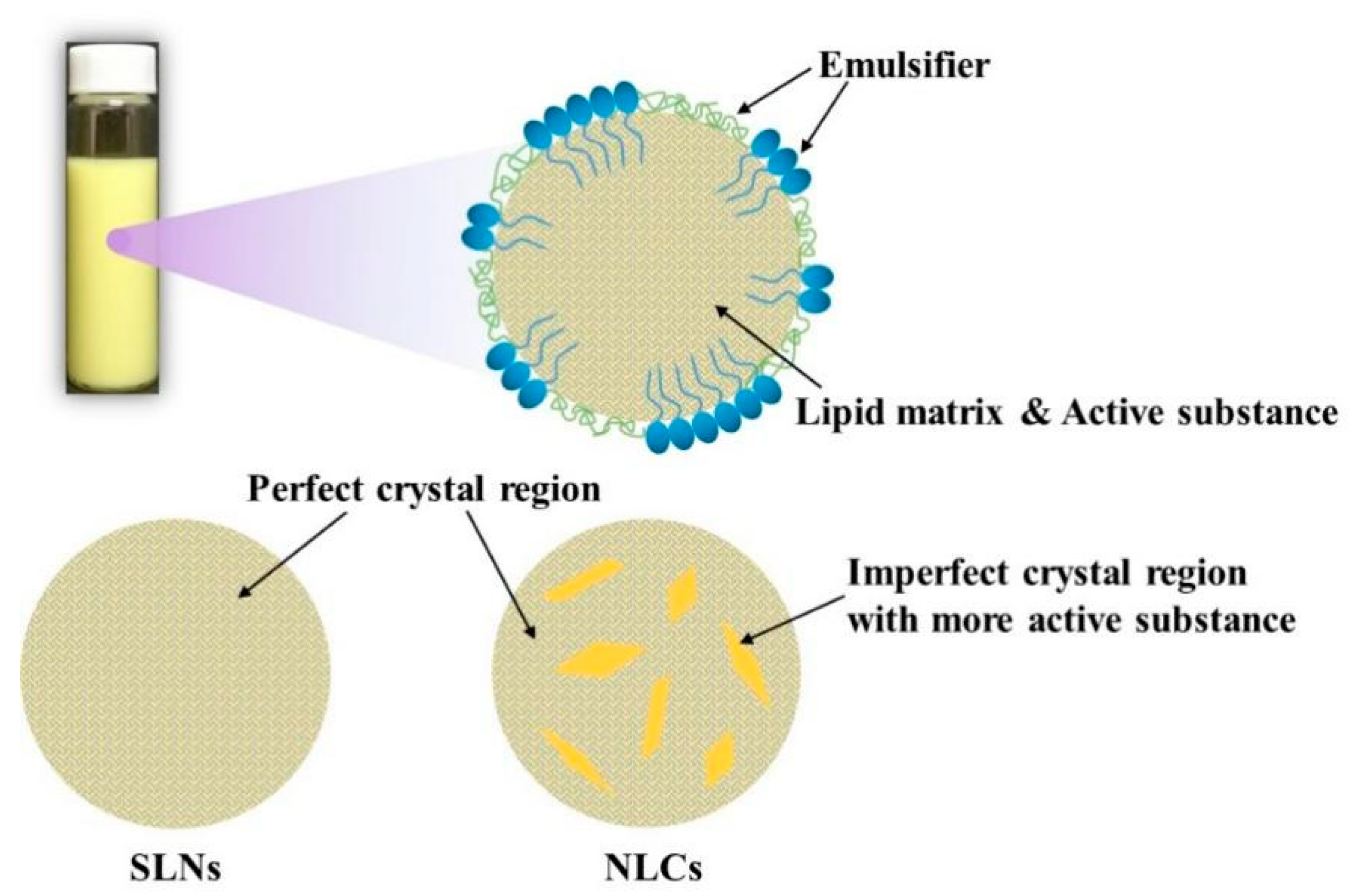 Applsci 13 01726 g001