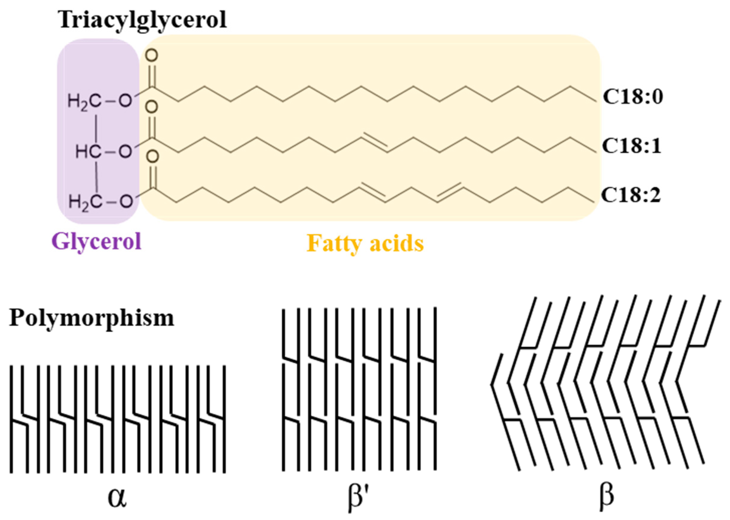 Applsci 13 01726 g002