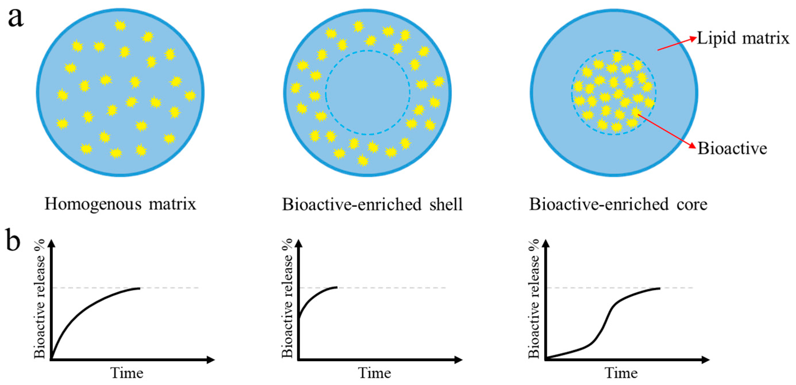 Applsci 13 01726 g004