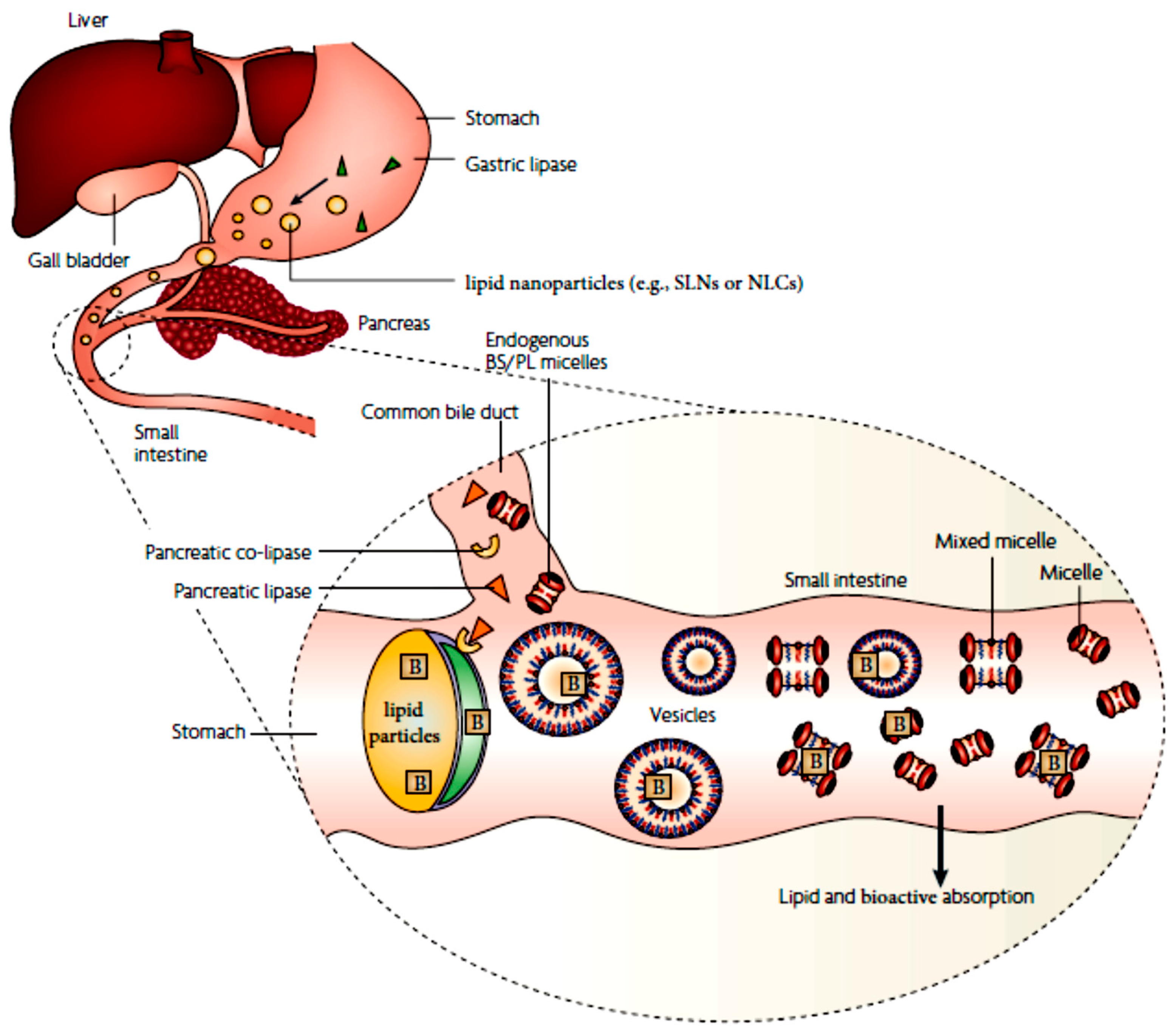 Applsci 13 01726 g005