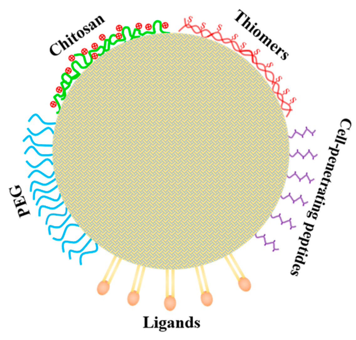 Applsci 13 01726 g008