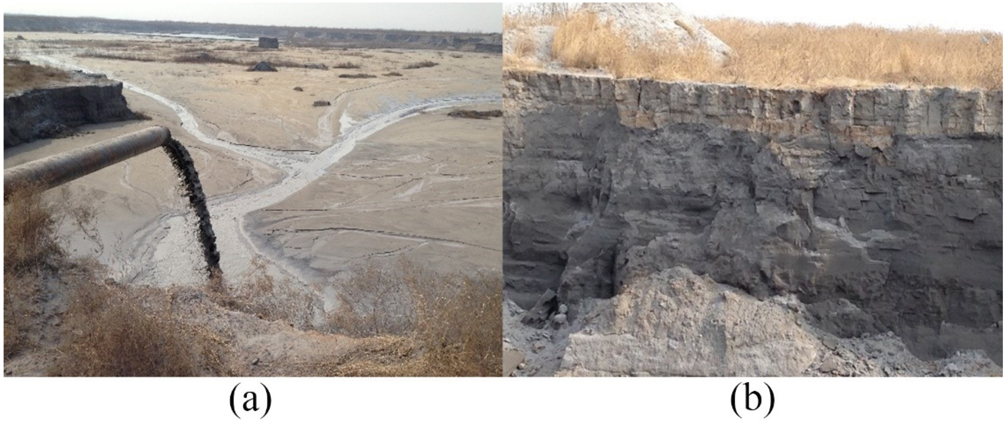 Applsci 13 01768 g001 Applsci 13 01768 g001