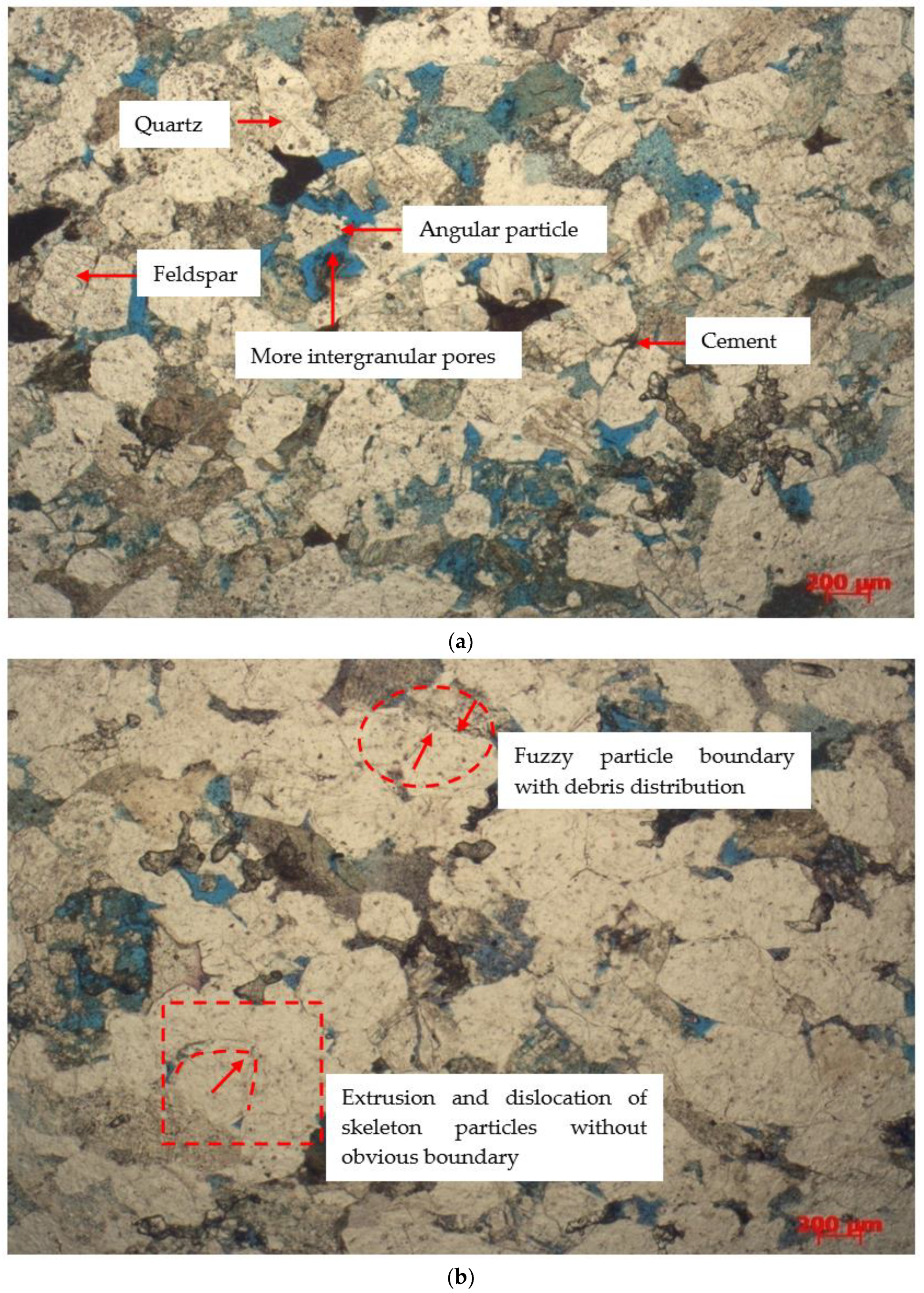 Applsci 13 01771 g015 Applsci 13 01771 g015