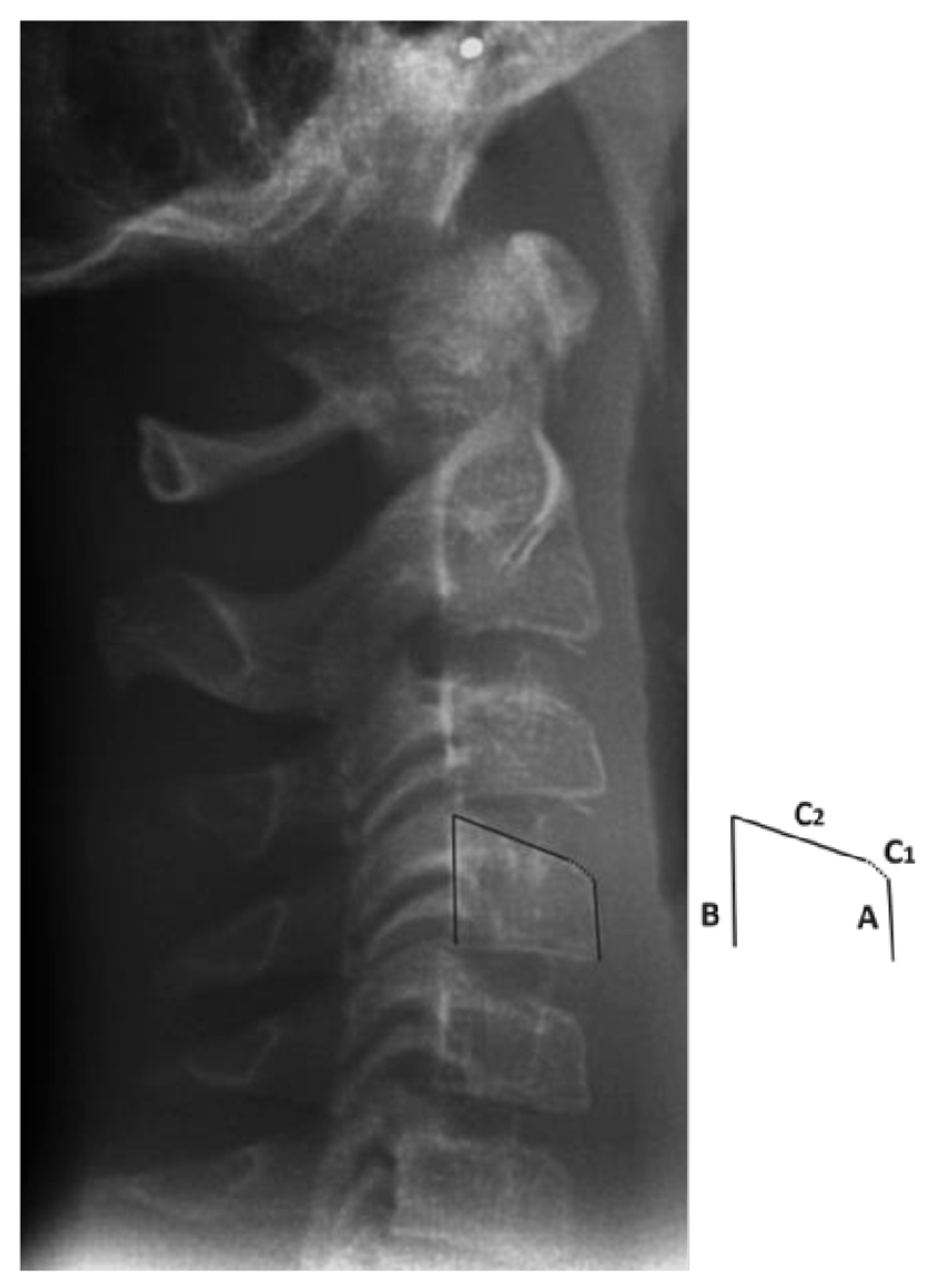 Applsci 13 01819 g002 Applsci 13 01819 g002