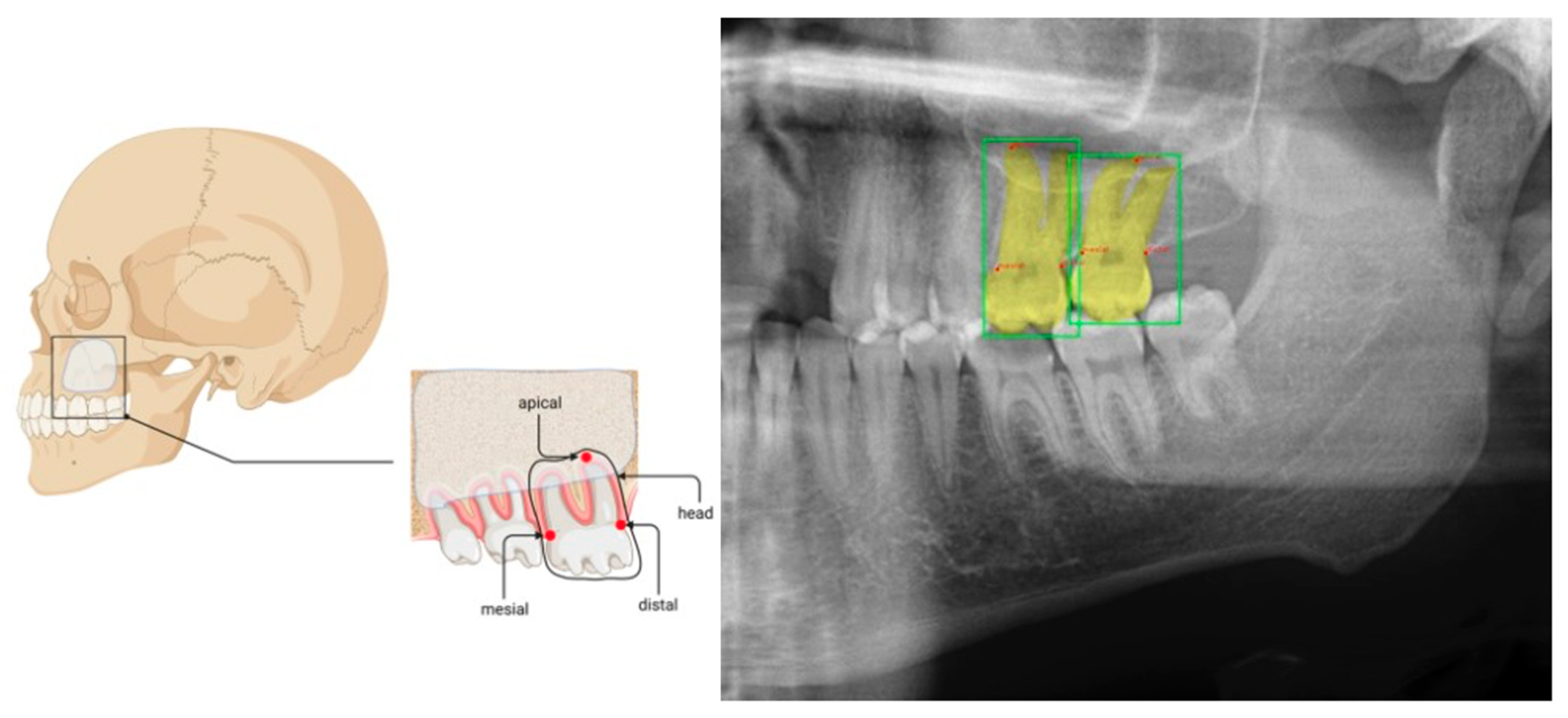 Applsci 13 01858 g002