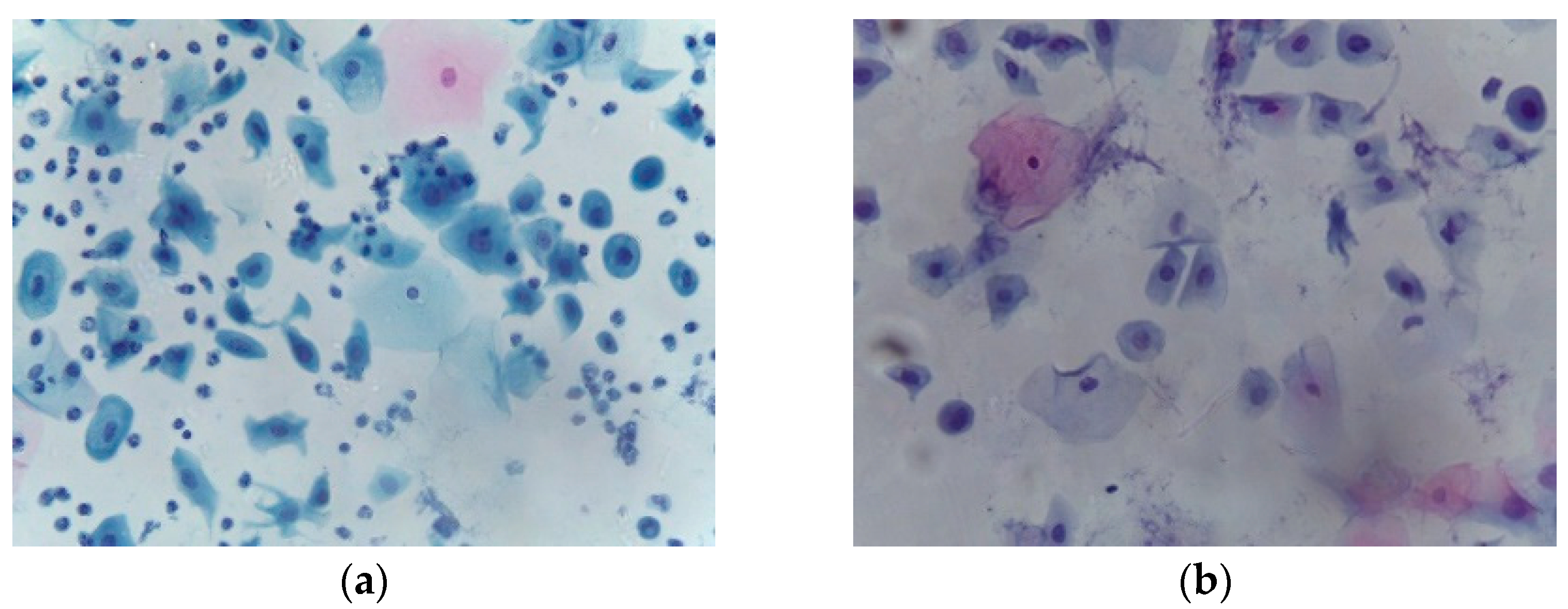 Applsci 13 01916 g001a Applsci 13 01916 g001a