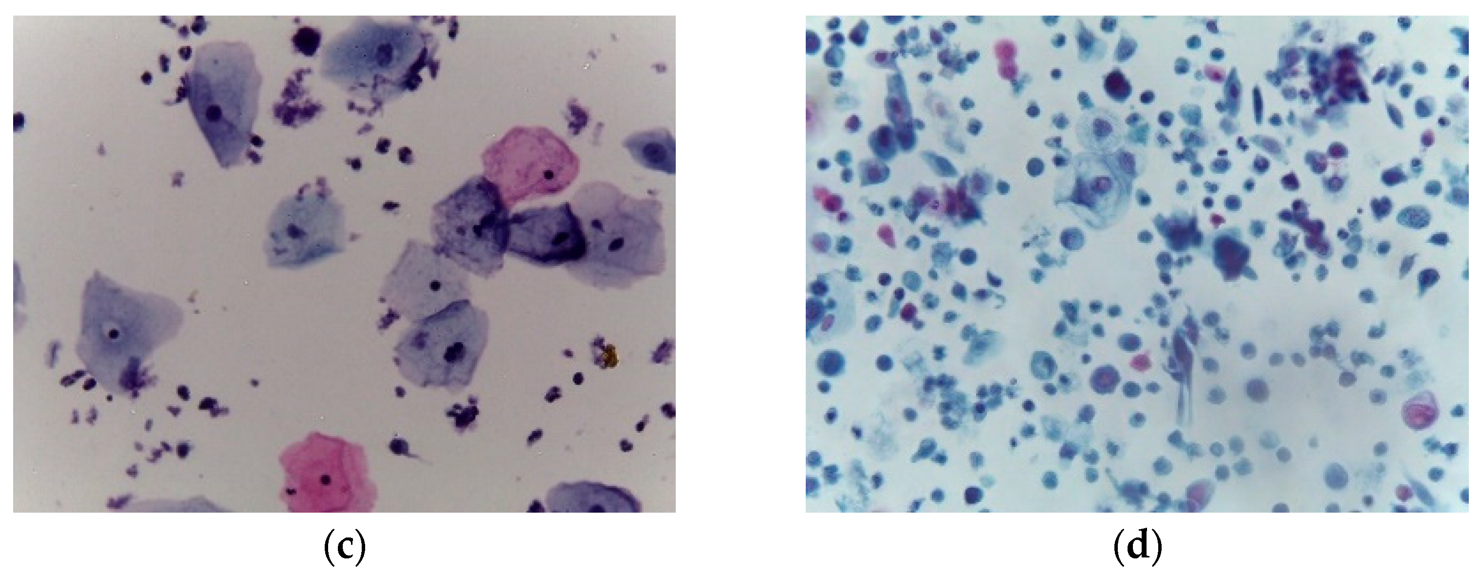 Applsci 13 01916 g001b Applsci 13 01916 g001b
