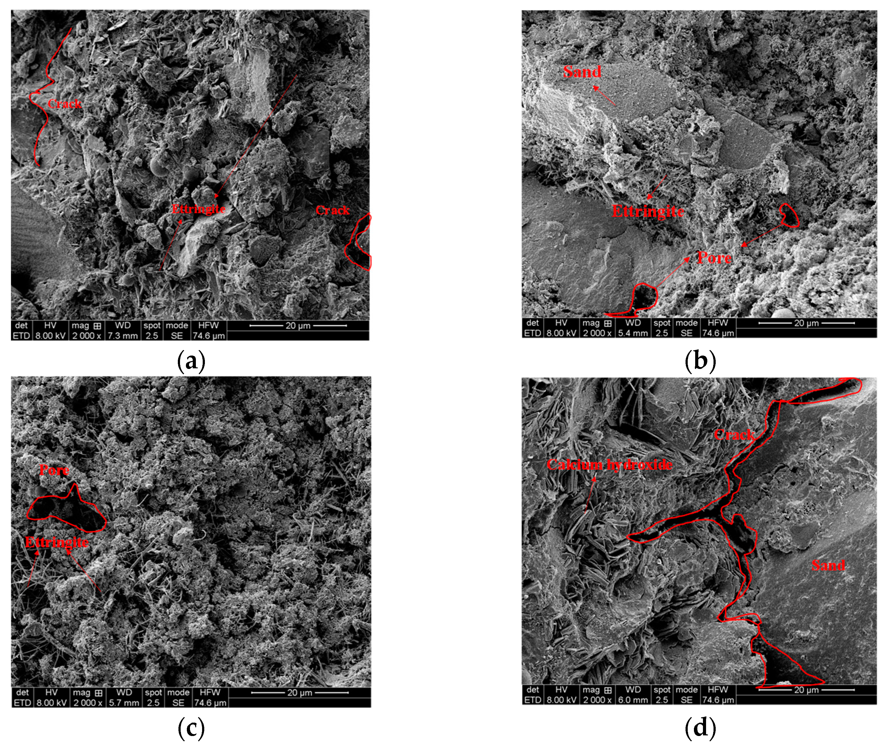 Applsci 13 01919 g004