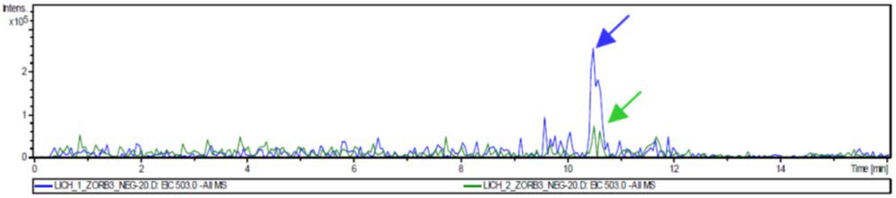 Applsci 13 01976 g004 Applsci 13 01976 g004