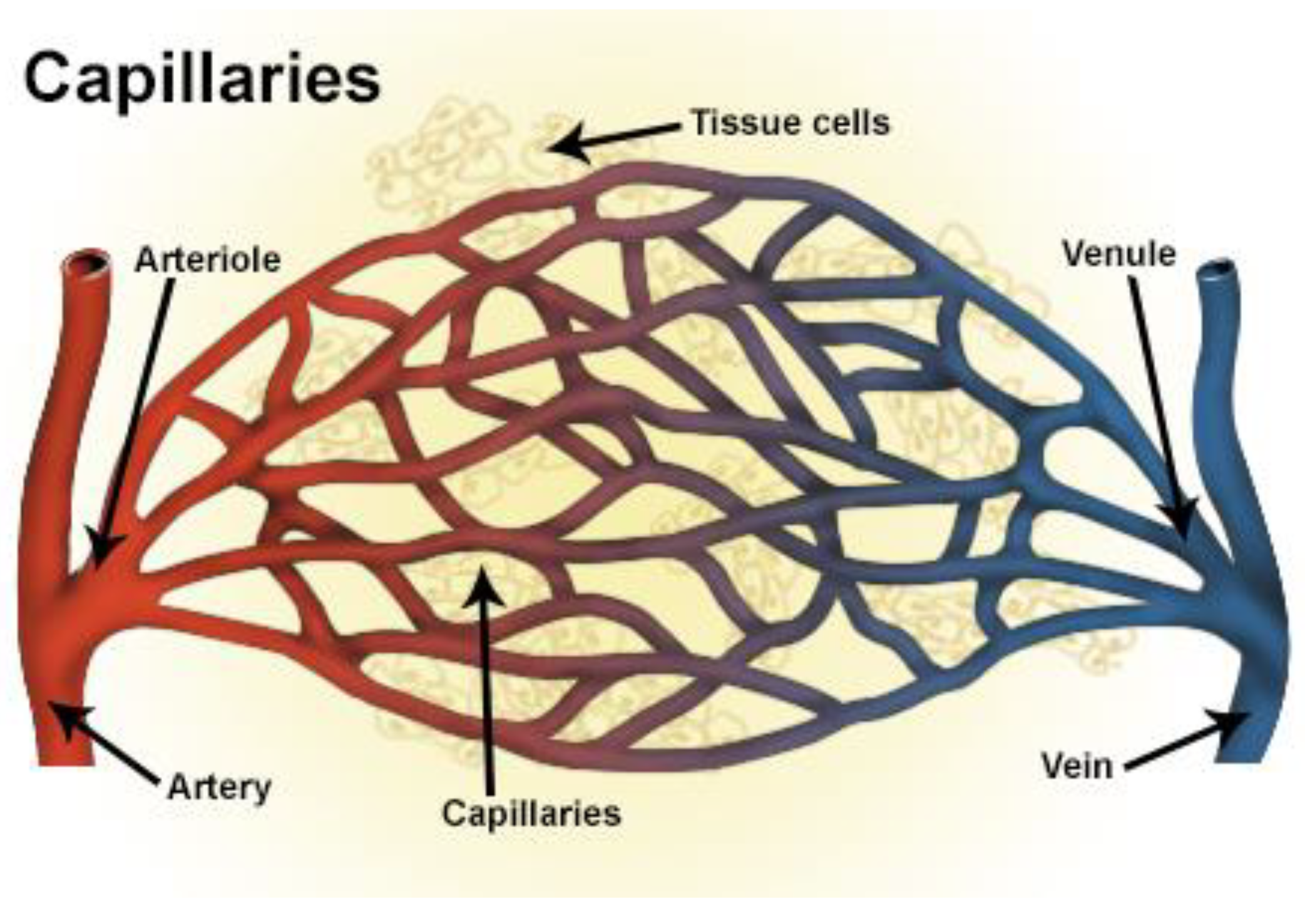 Applsci 13 02000 g001