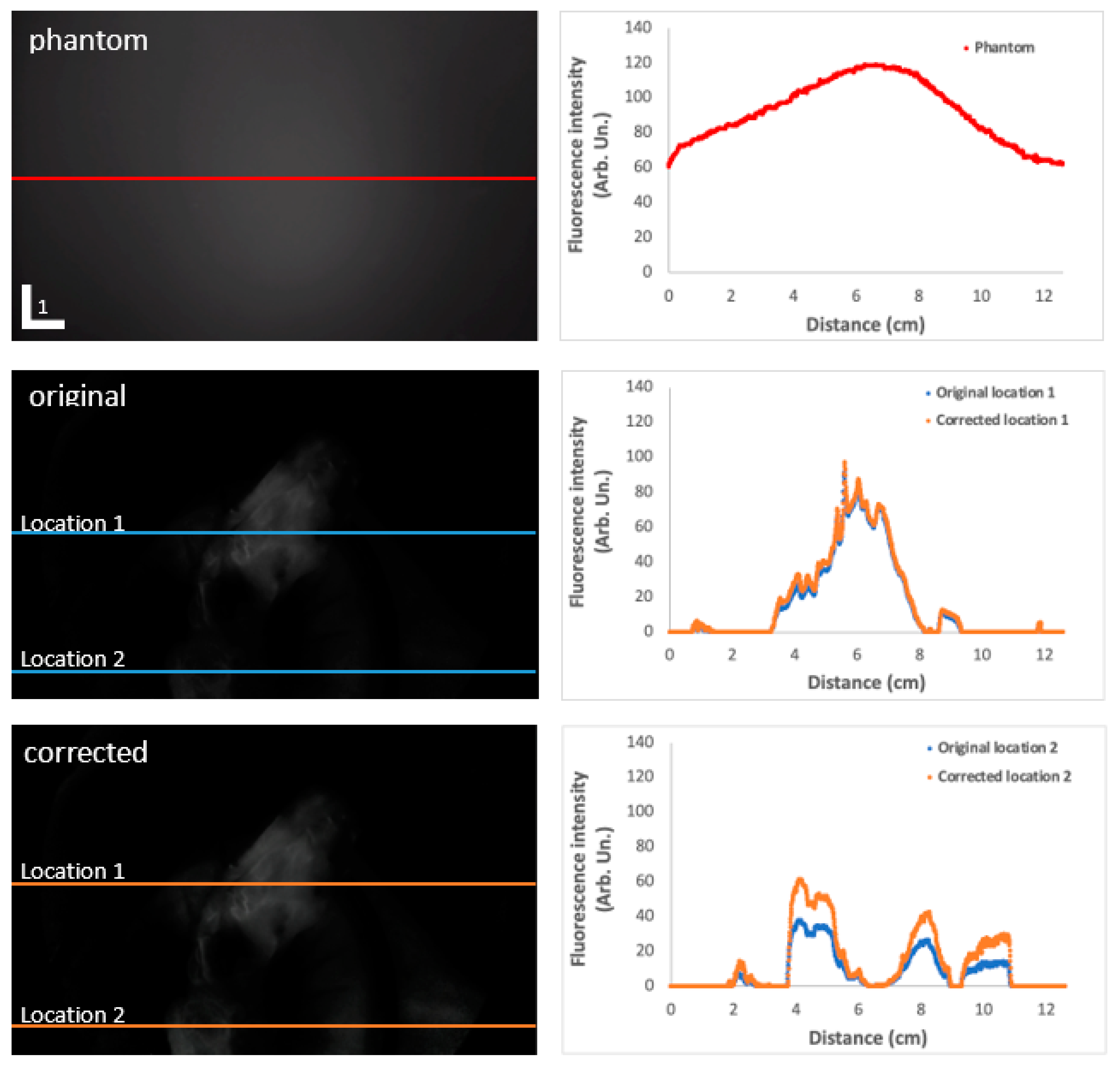 Applsci 13 02042 g005