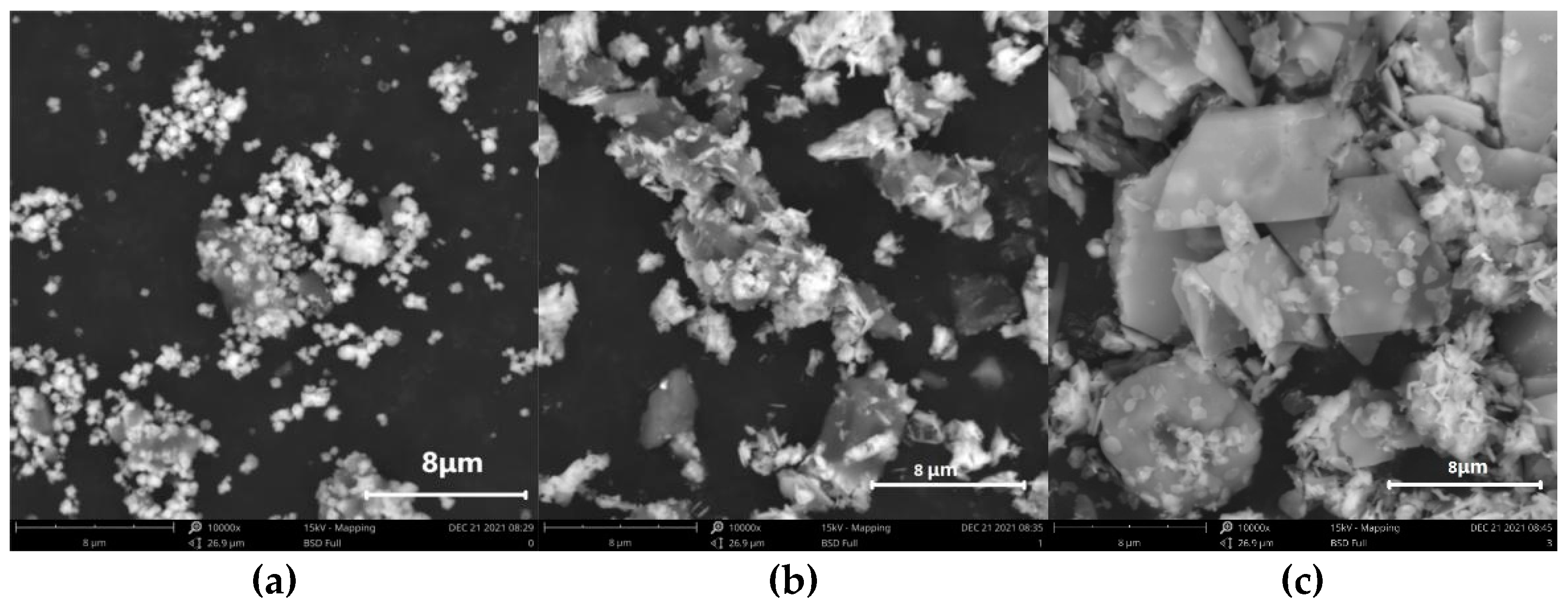 Applsci 13 02048 g001