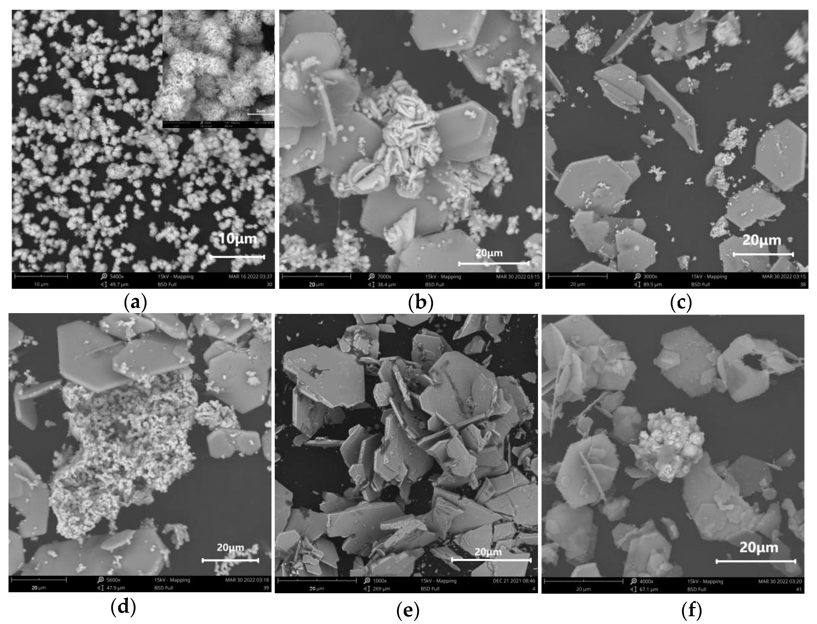 Applsci 13 02048 g004