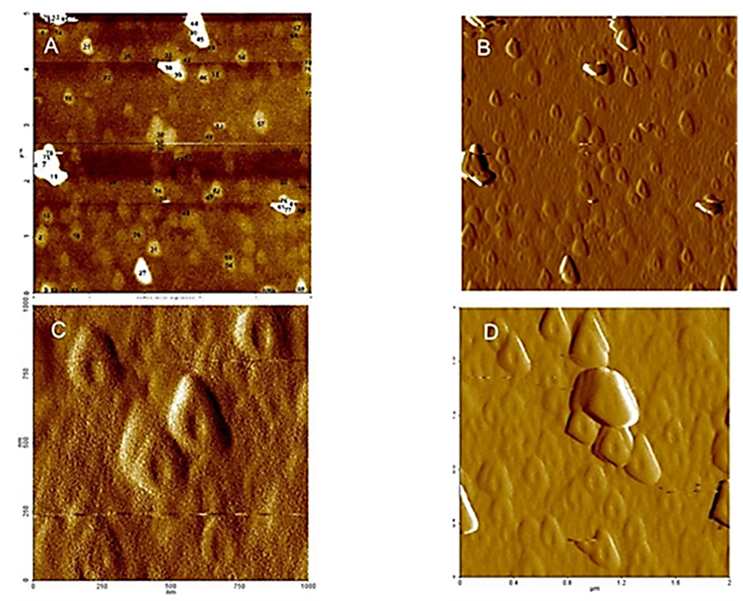 Applsci 13 02236 g003