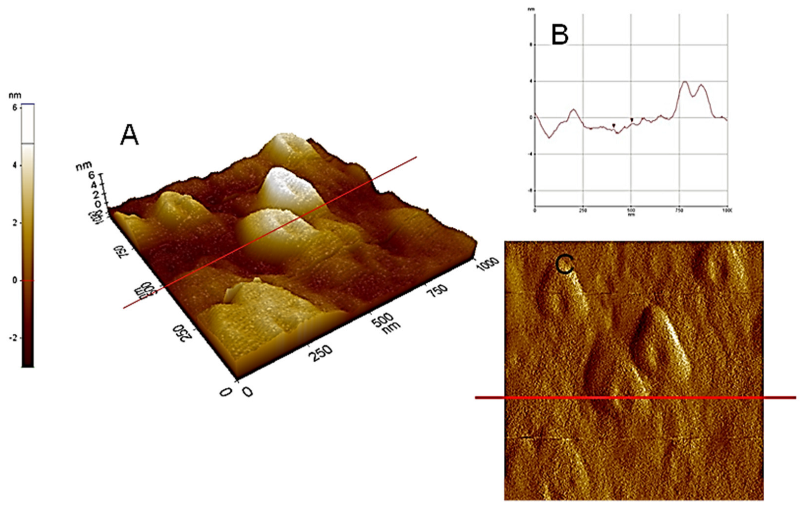 Applsci 13 02236 g004