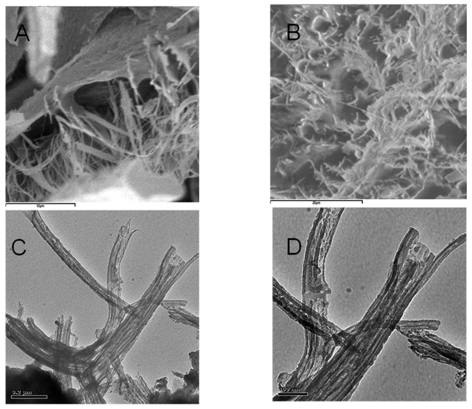 Applsci 13 02236 g005