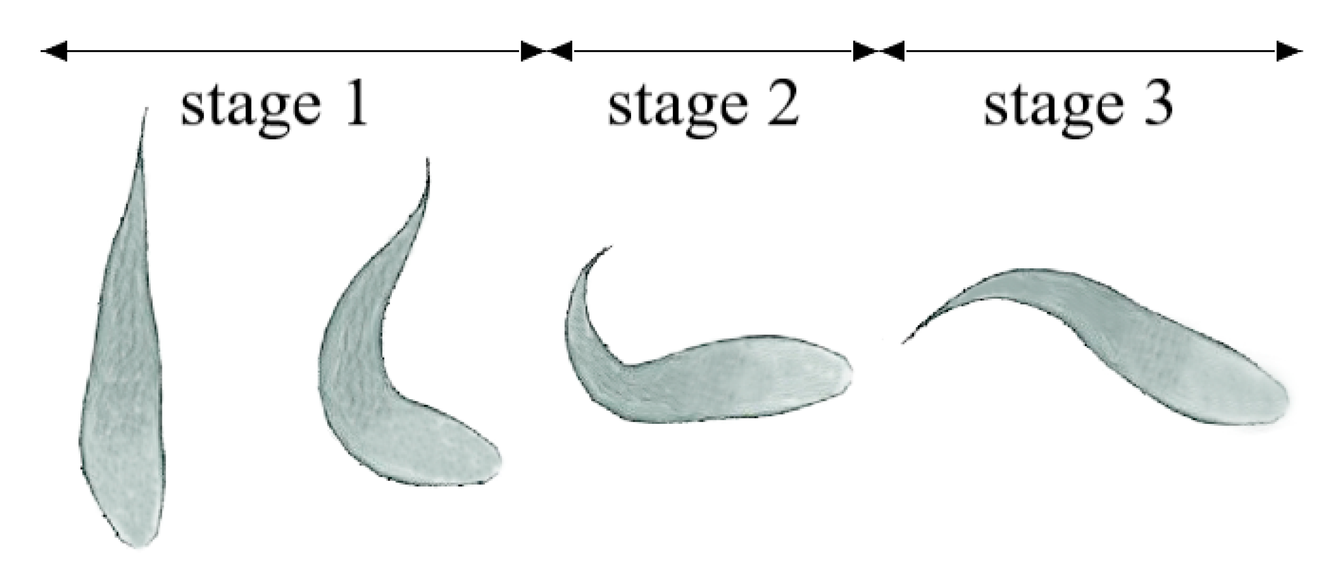 Applsci 13 02365 g001