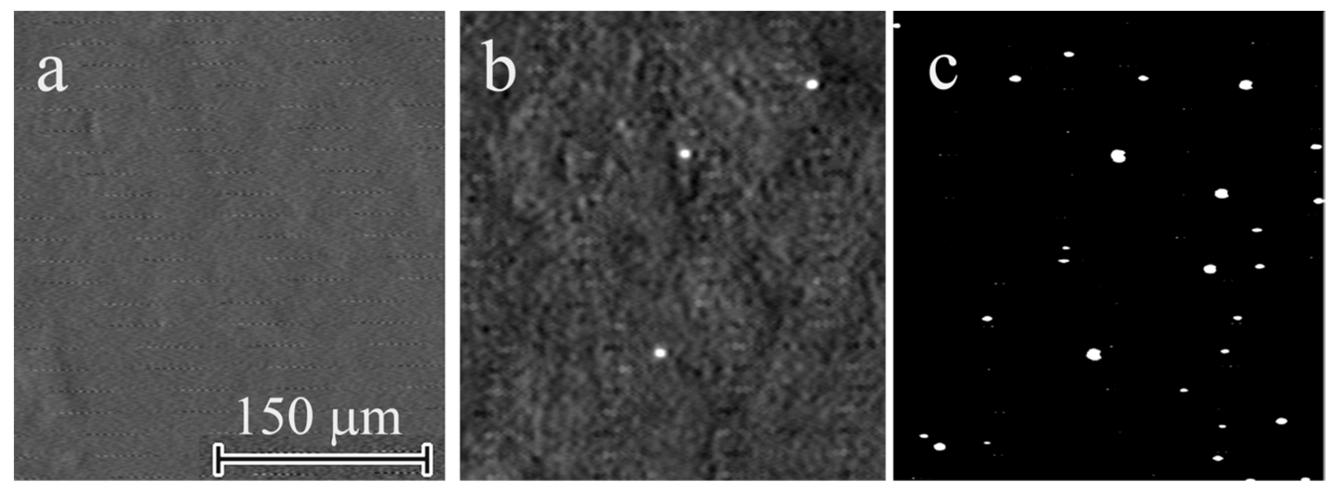 Applsci 13 02481 g001 Applsci 13 02481 g001