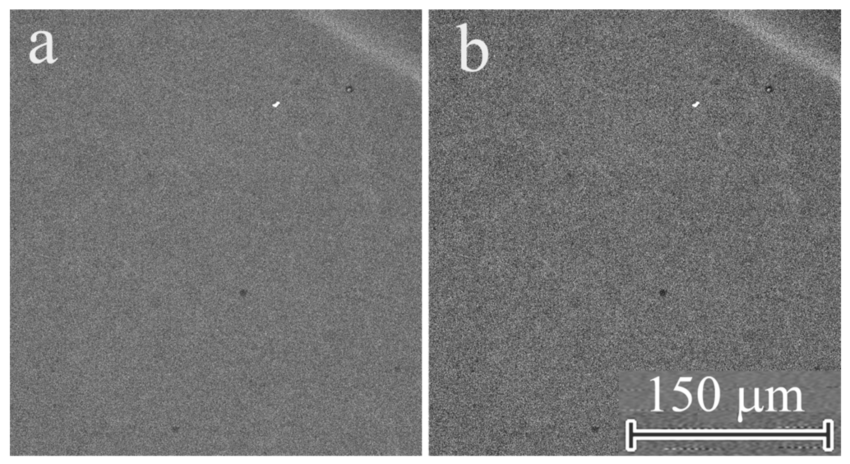 Applsci 13 02481 g003 Applsci 13 02481 g003