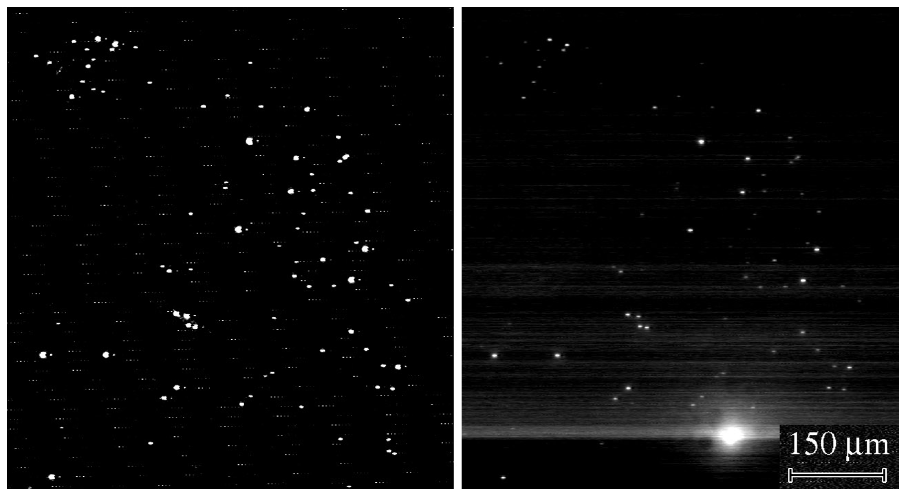 Applsci 13 02481 g004 Applsci 13 02481 g004