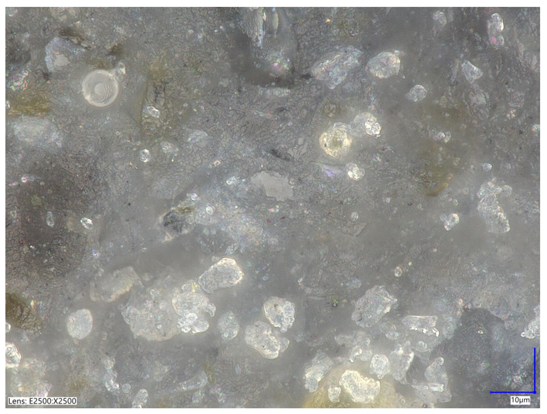 Applsci 13 02510 g003 Applsci 13 02510 g003