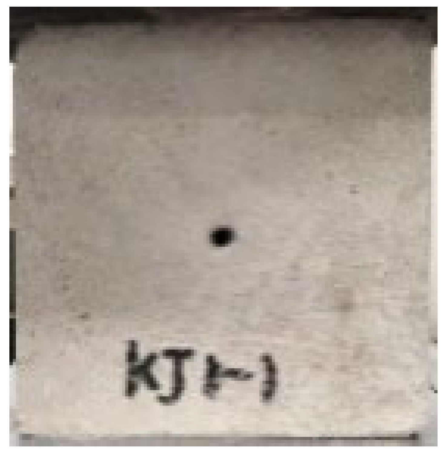 Applsci 13 02511 i001