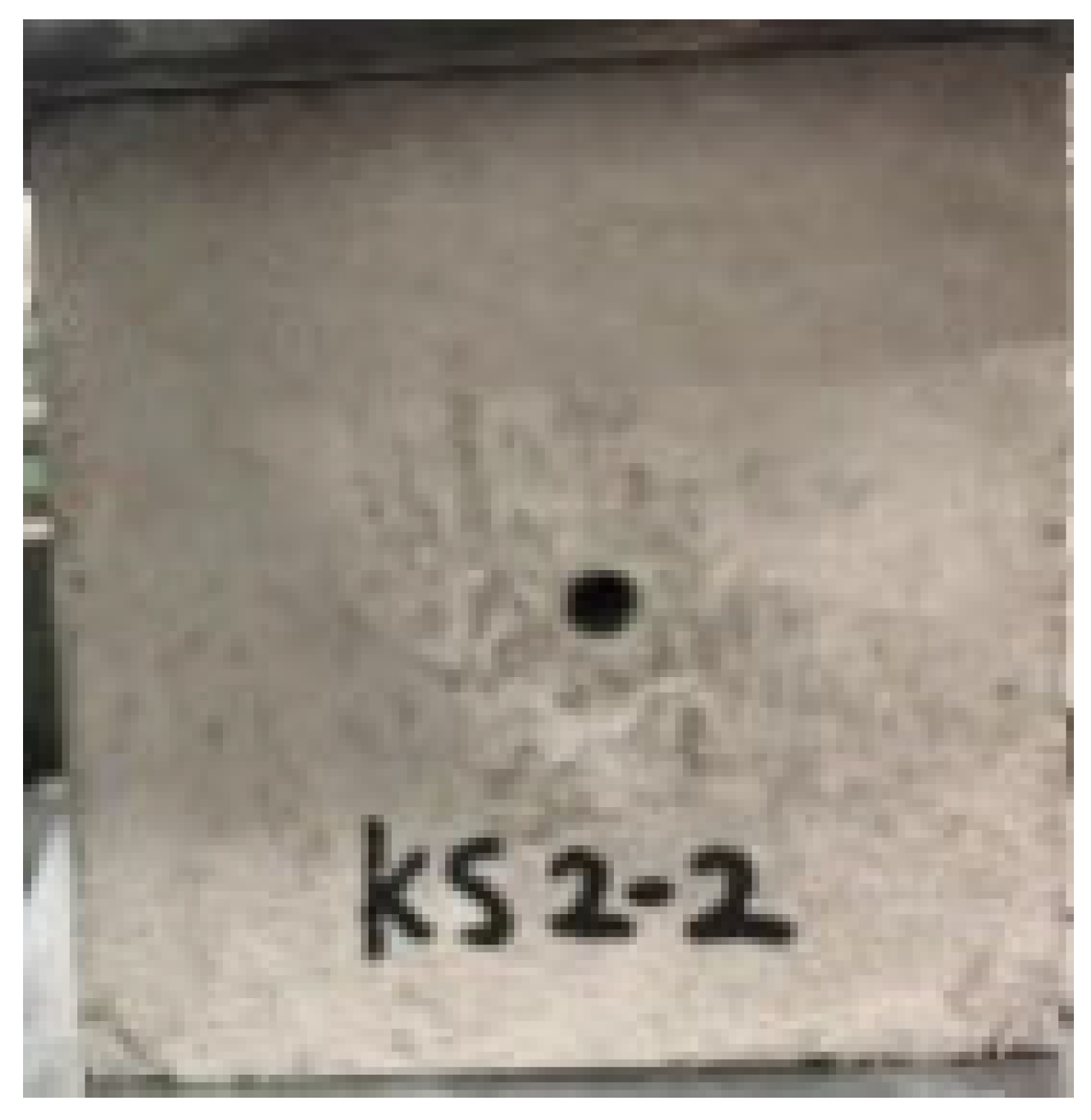 Applsci 13 02511 i002