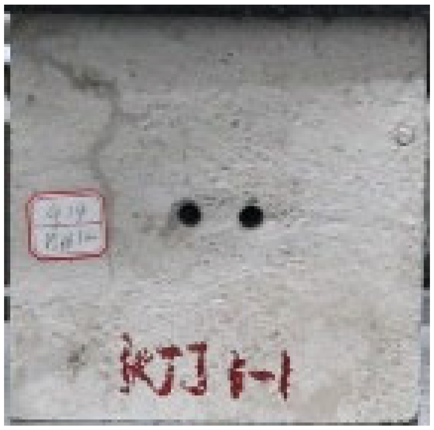 Applsci 13 02511 i013