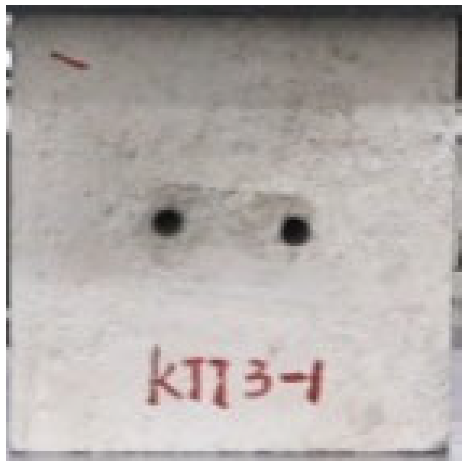 Applsci 13 02511 i015