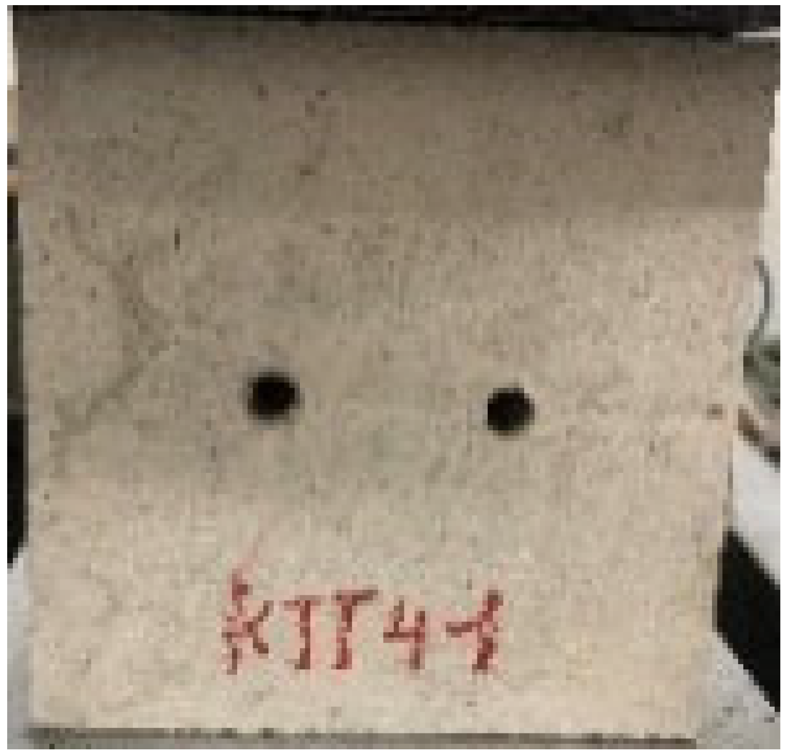 Applsci 13 02511 i016