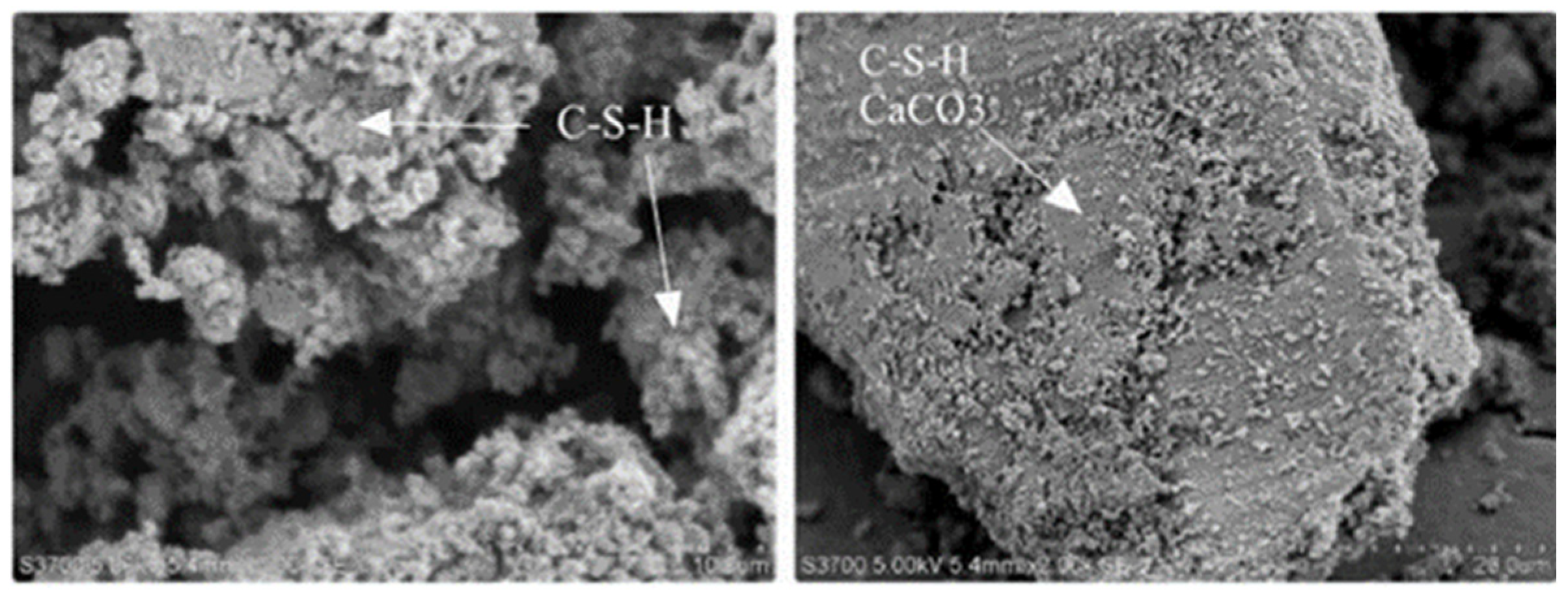 Applsci 13 02533 g002