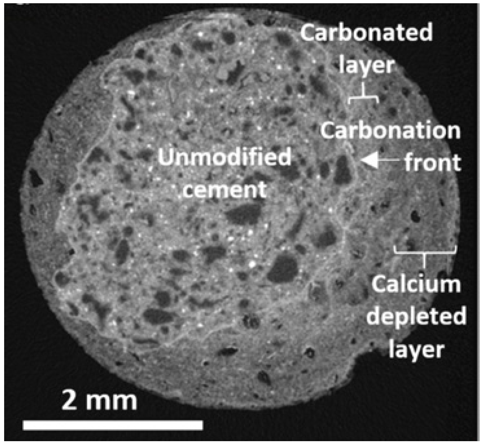 Applsci 13 02533 g004