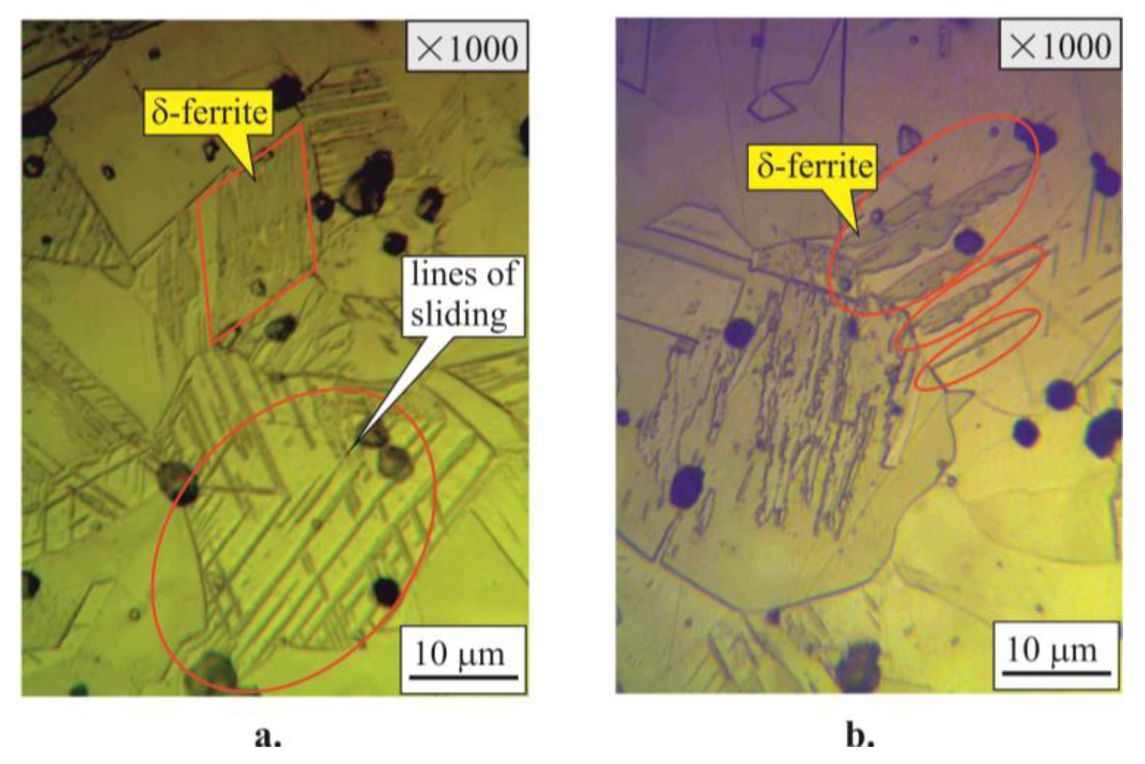 Applsci 13 02570 g007