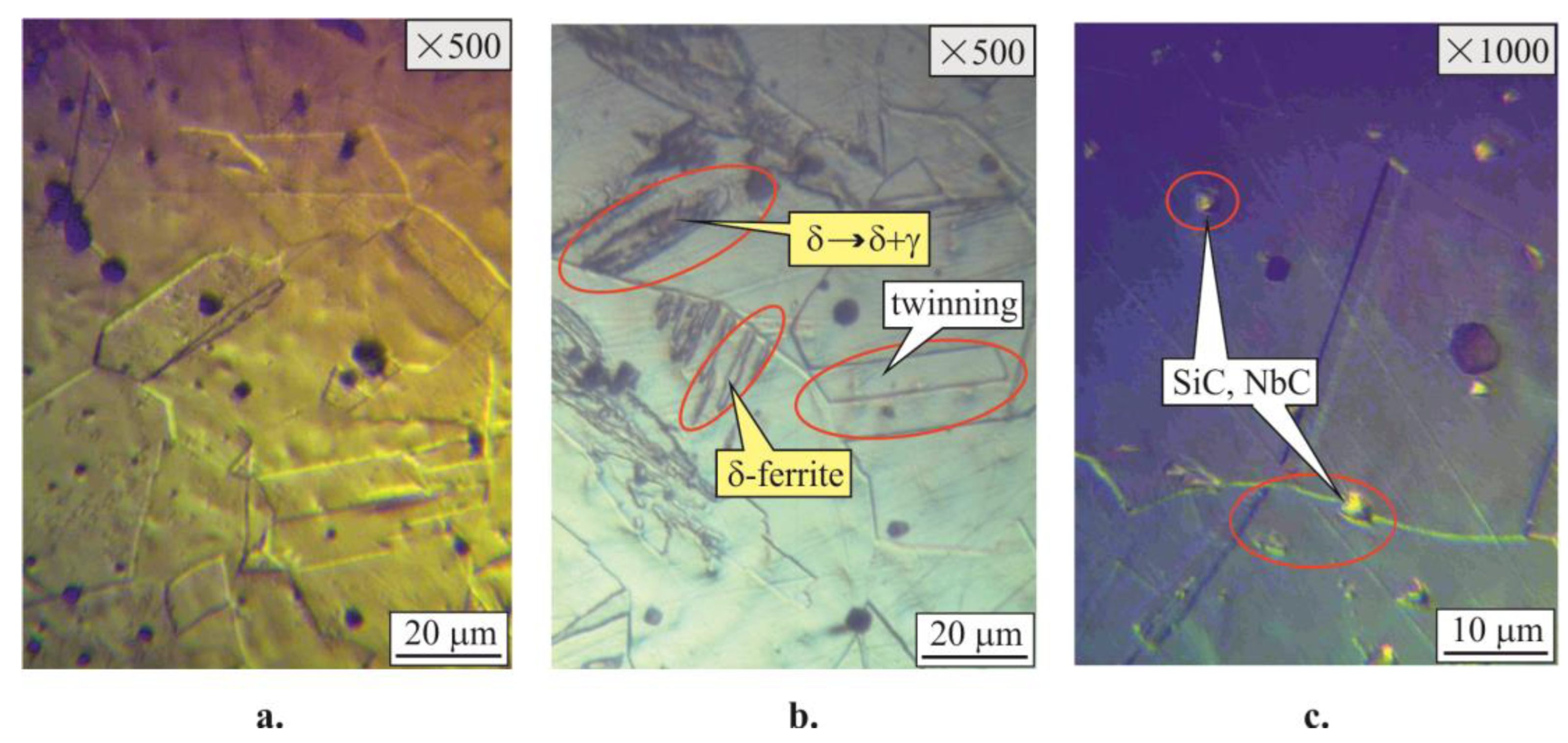 Applsci 13 02570 g008