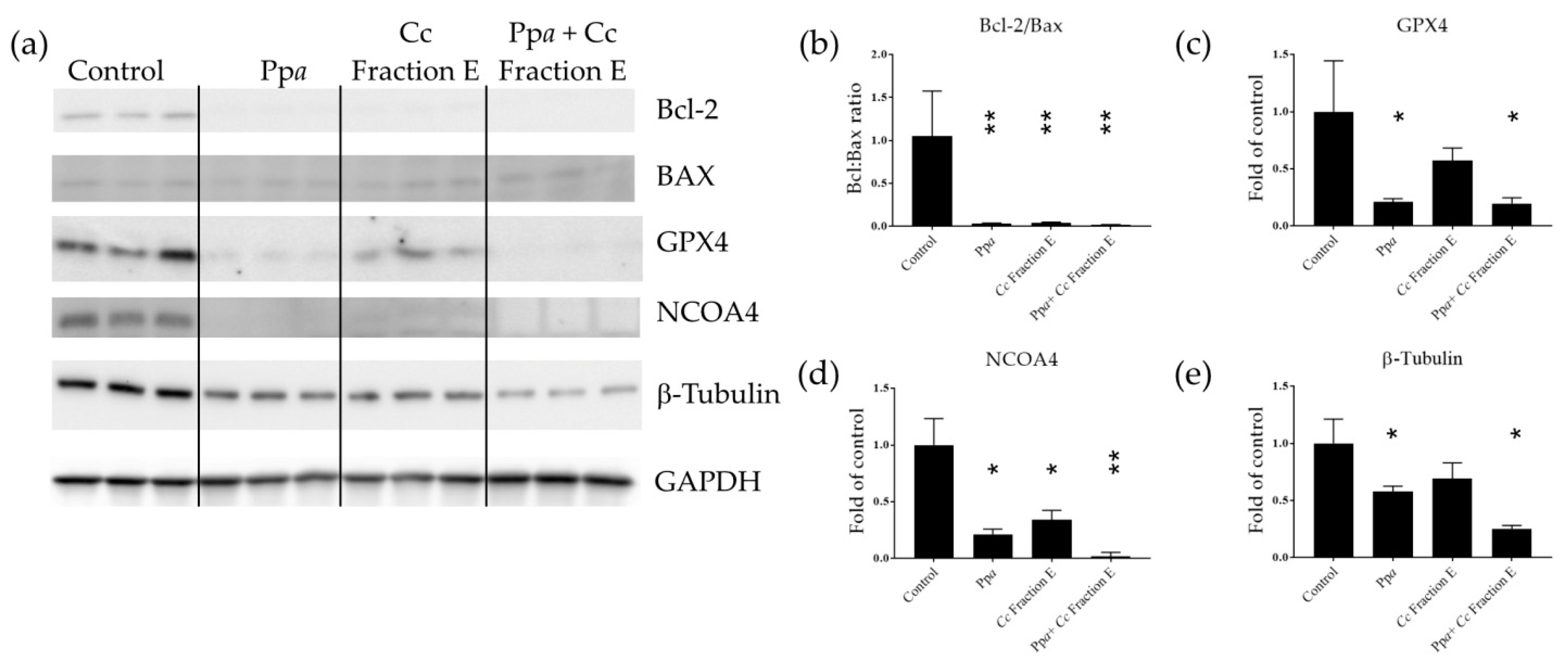 Applsci 13 02590 g002 Applsci 13 02590 g002
