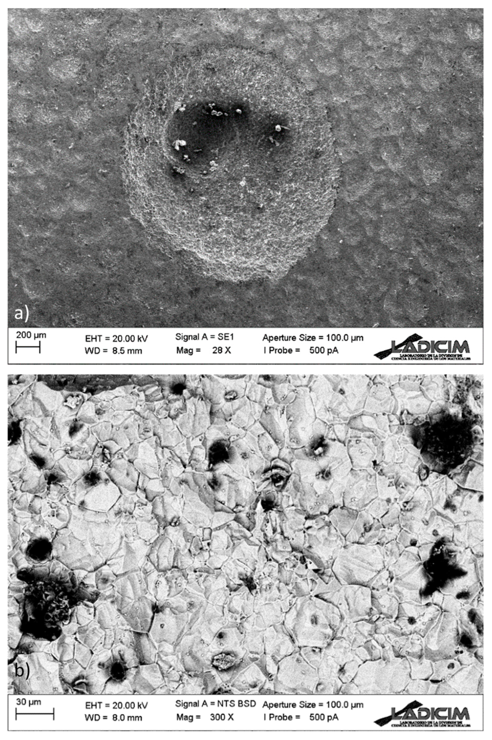 Applsci 13 02598 g008