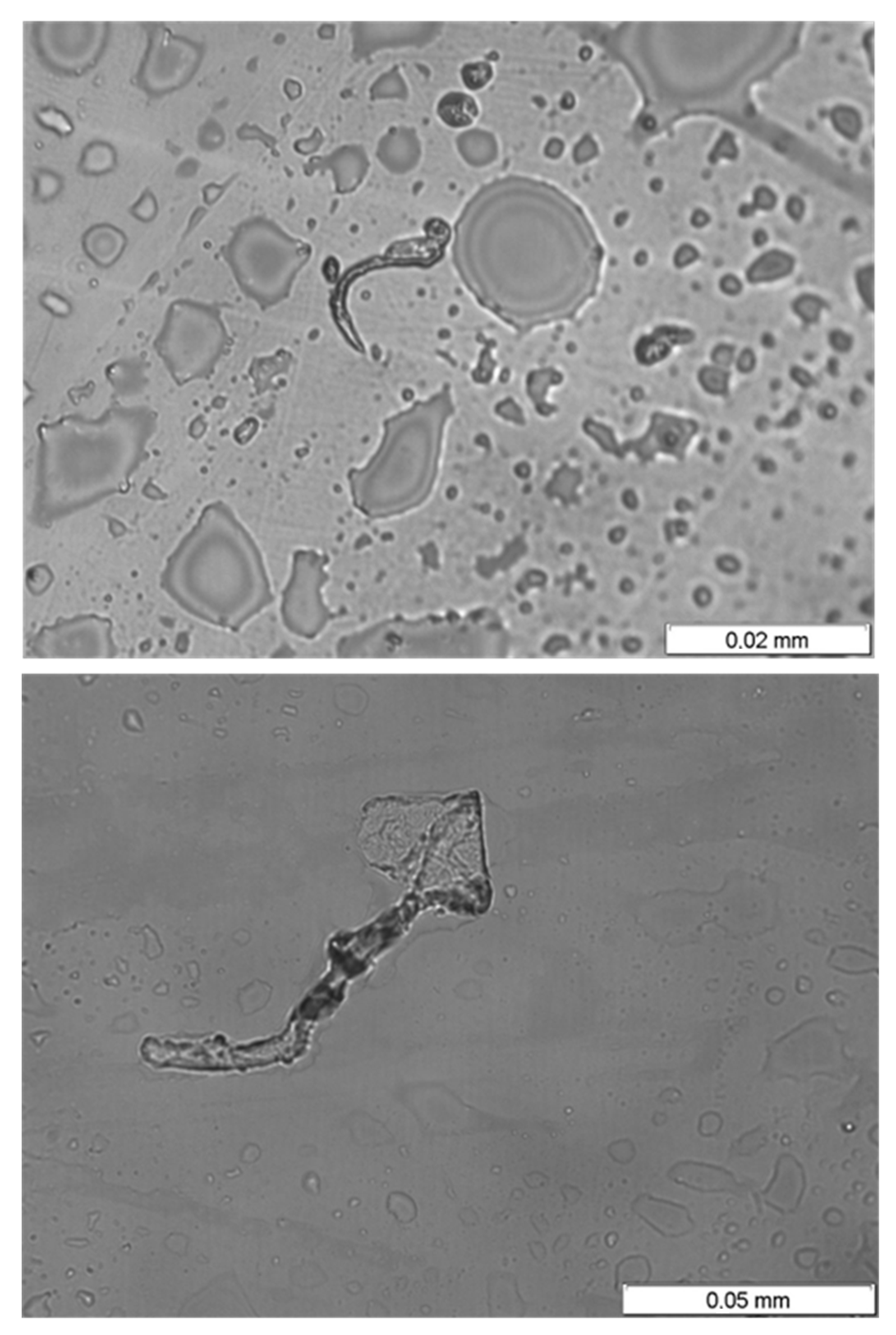 Applsci 13 02598 g012