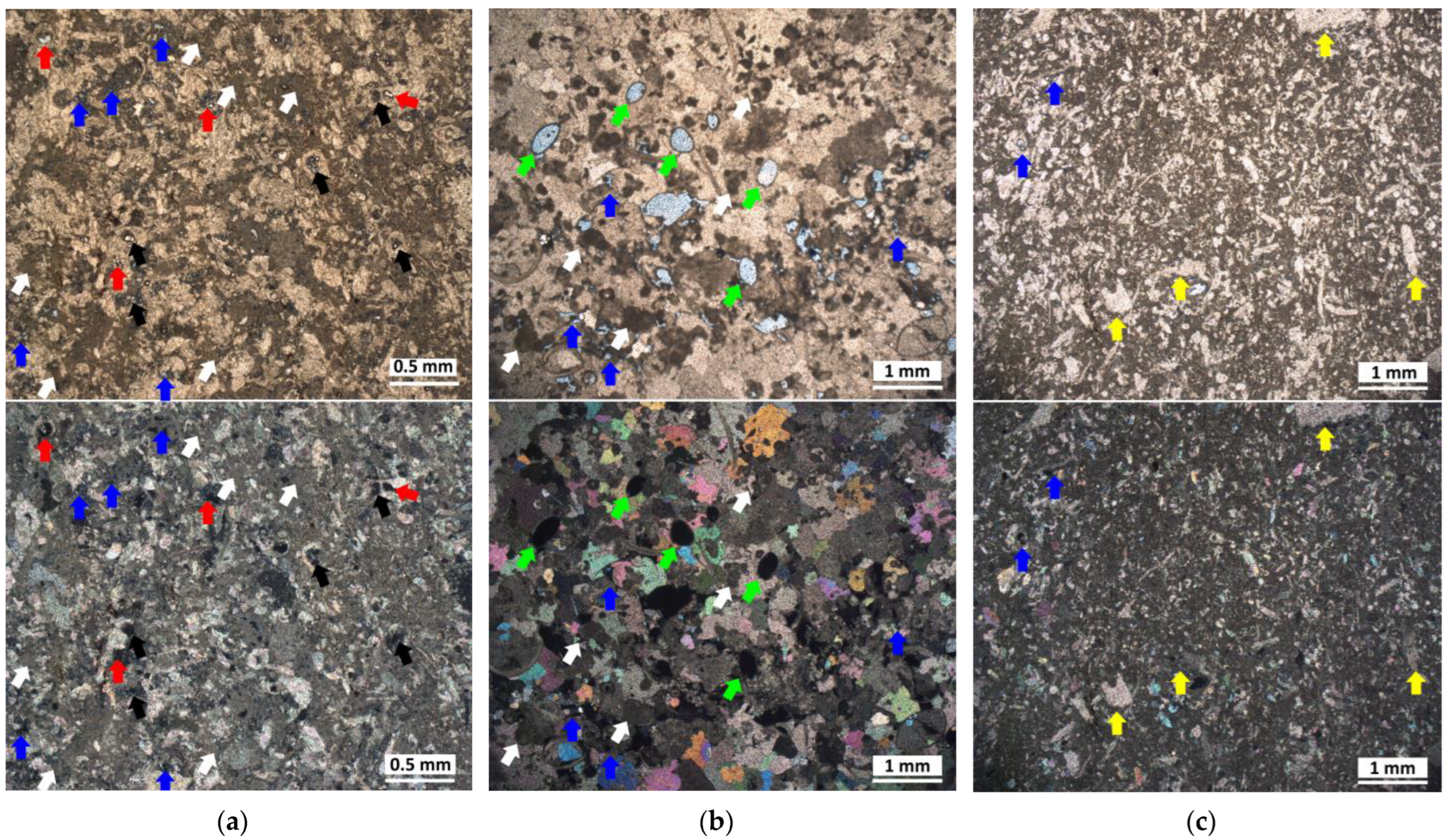 Applsci 13 02696 g003