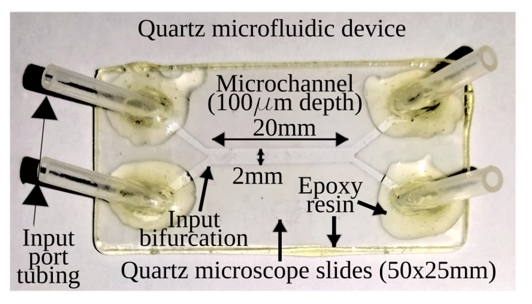 Applsci 13 02699 g001