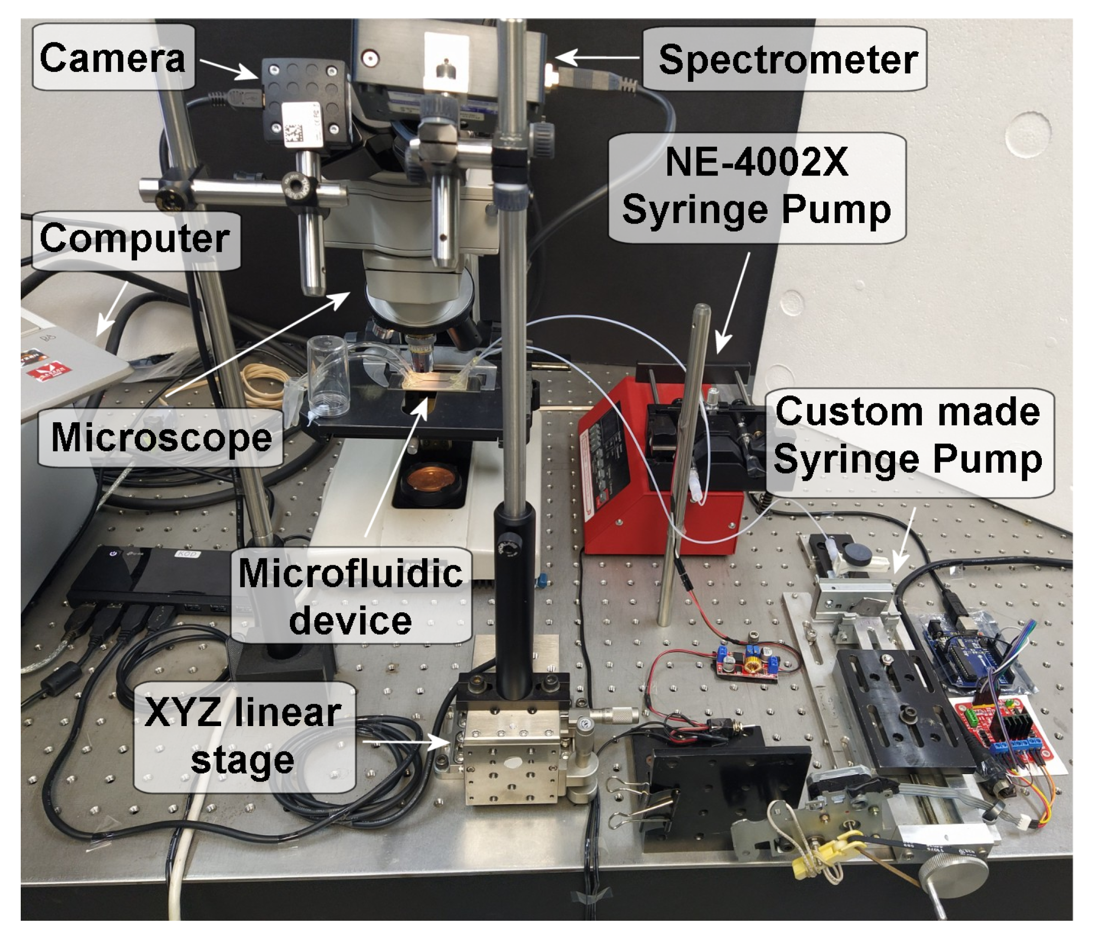 Applsci 13 02699 g003